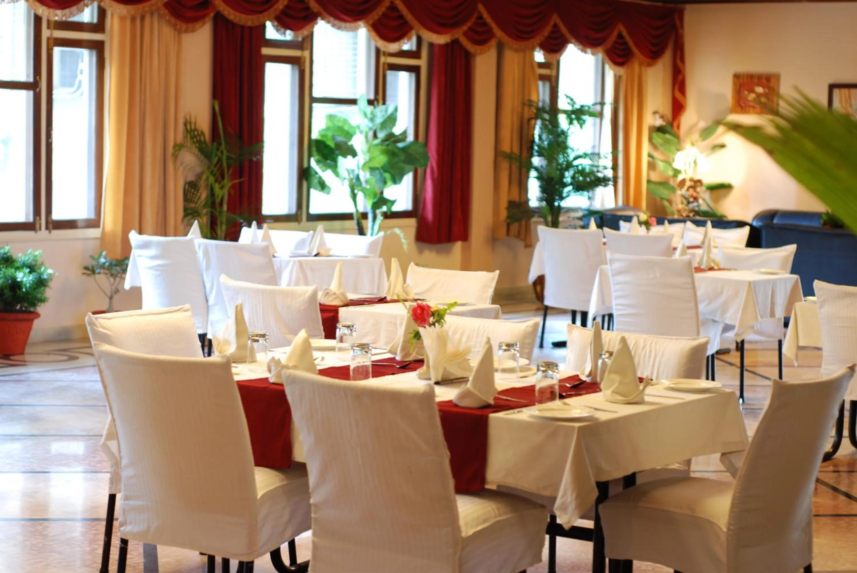 Restaurant/places to eat in Hotel Corbett Kingdom