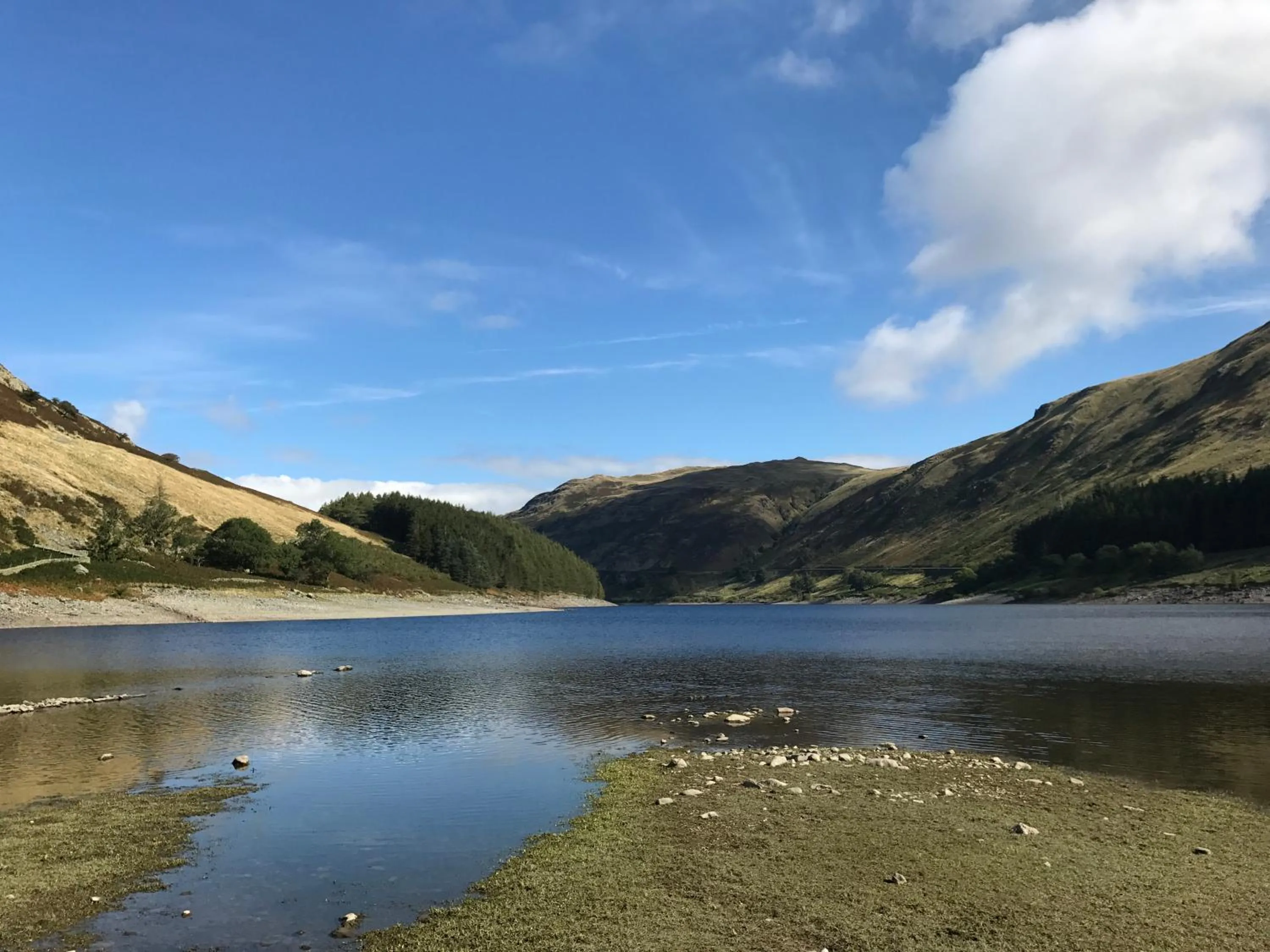 Nearby landmark in Rosie's Barn