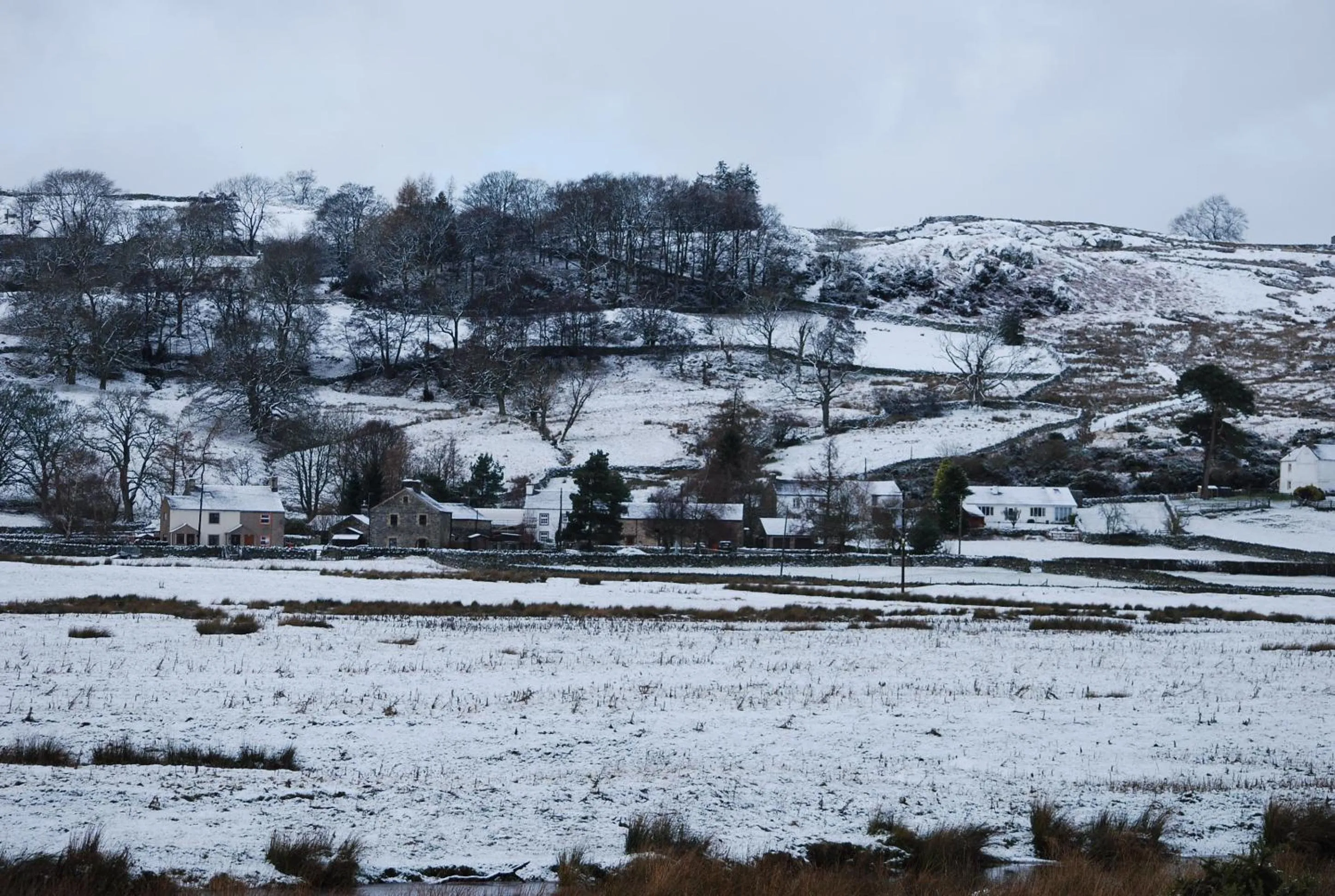 Natural landscape in Rosie's Barn