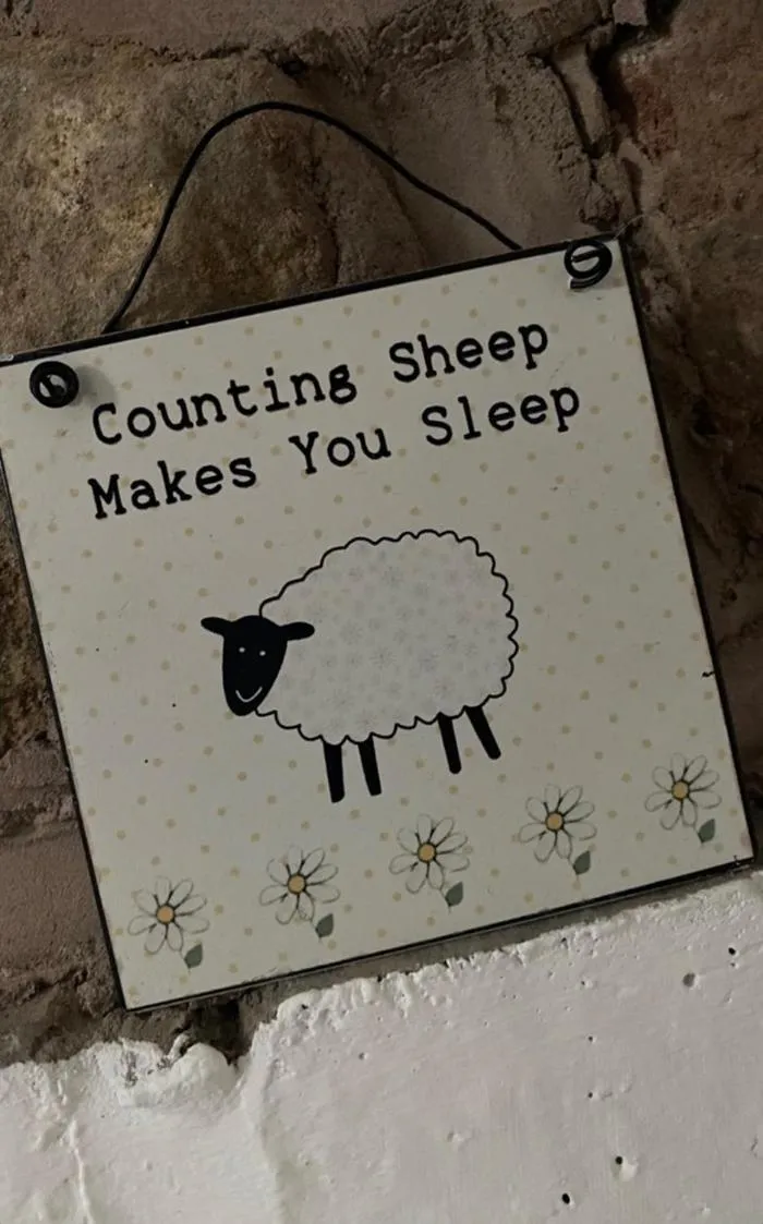 Text overlay in Rosie's Barn