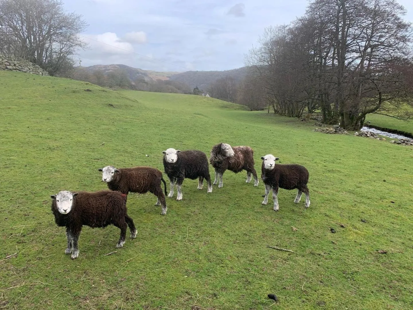 Natural landscape in Rosie's Barn