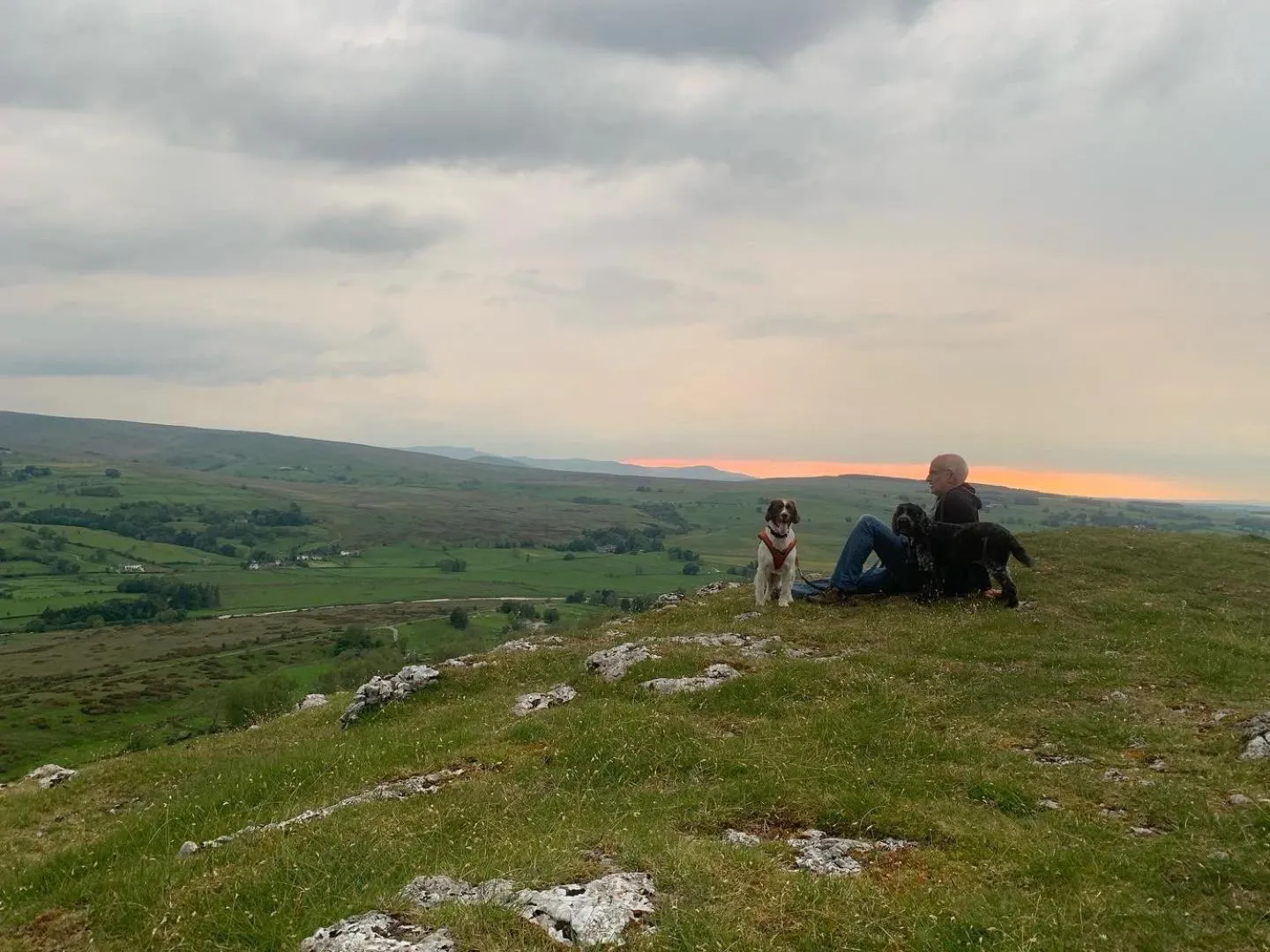 Natural landscape in Rosie's Barn