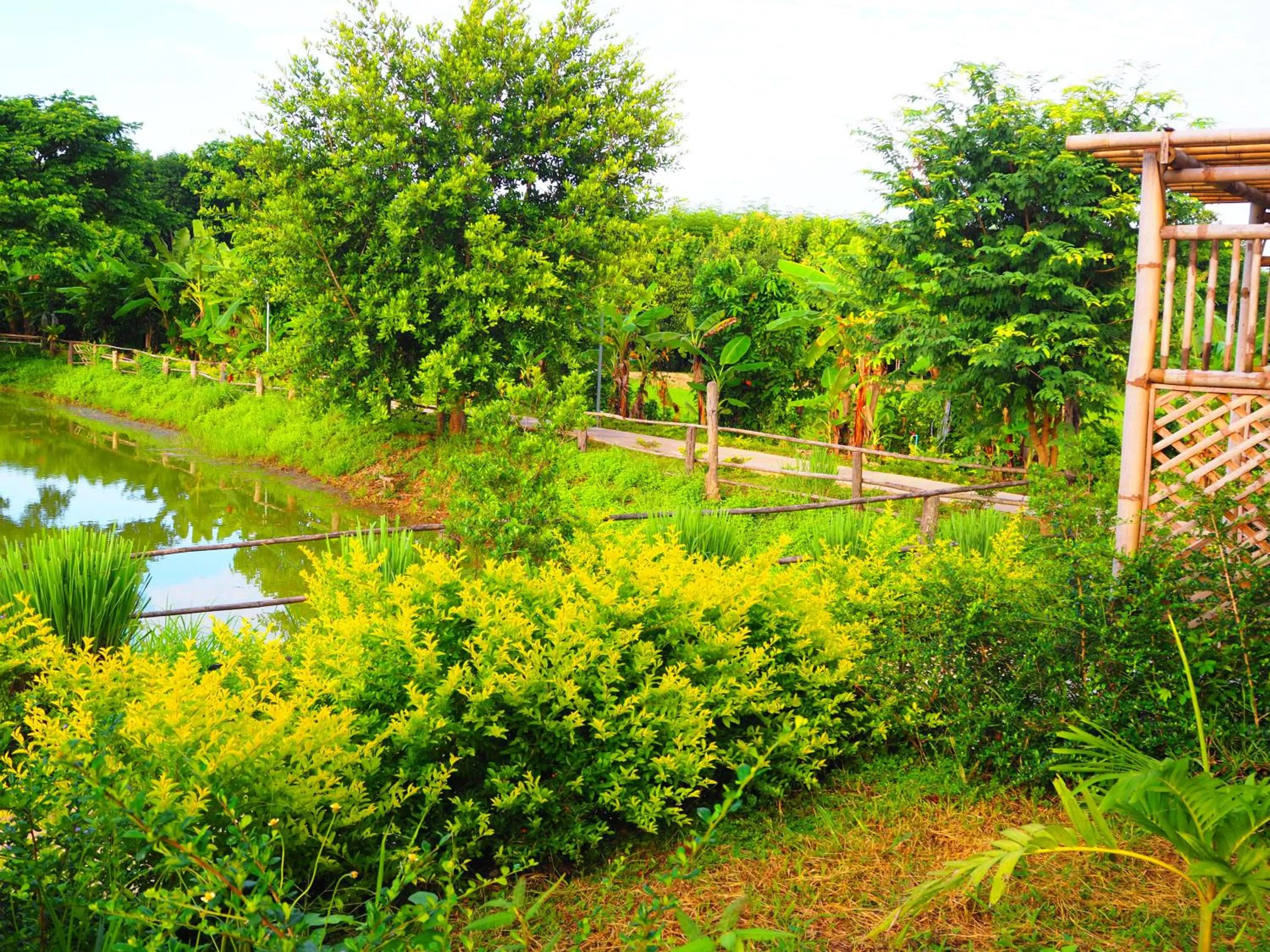 Garden view in Ina Boutique Home Nan