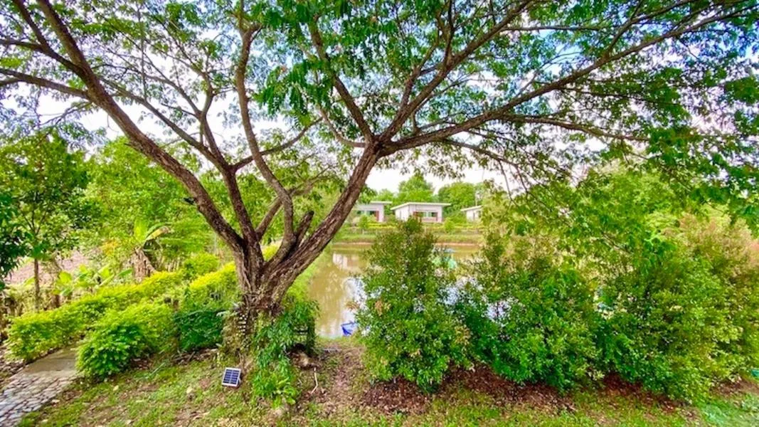 Spring in Ina Boutique Home Nan