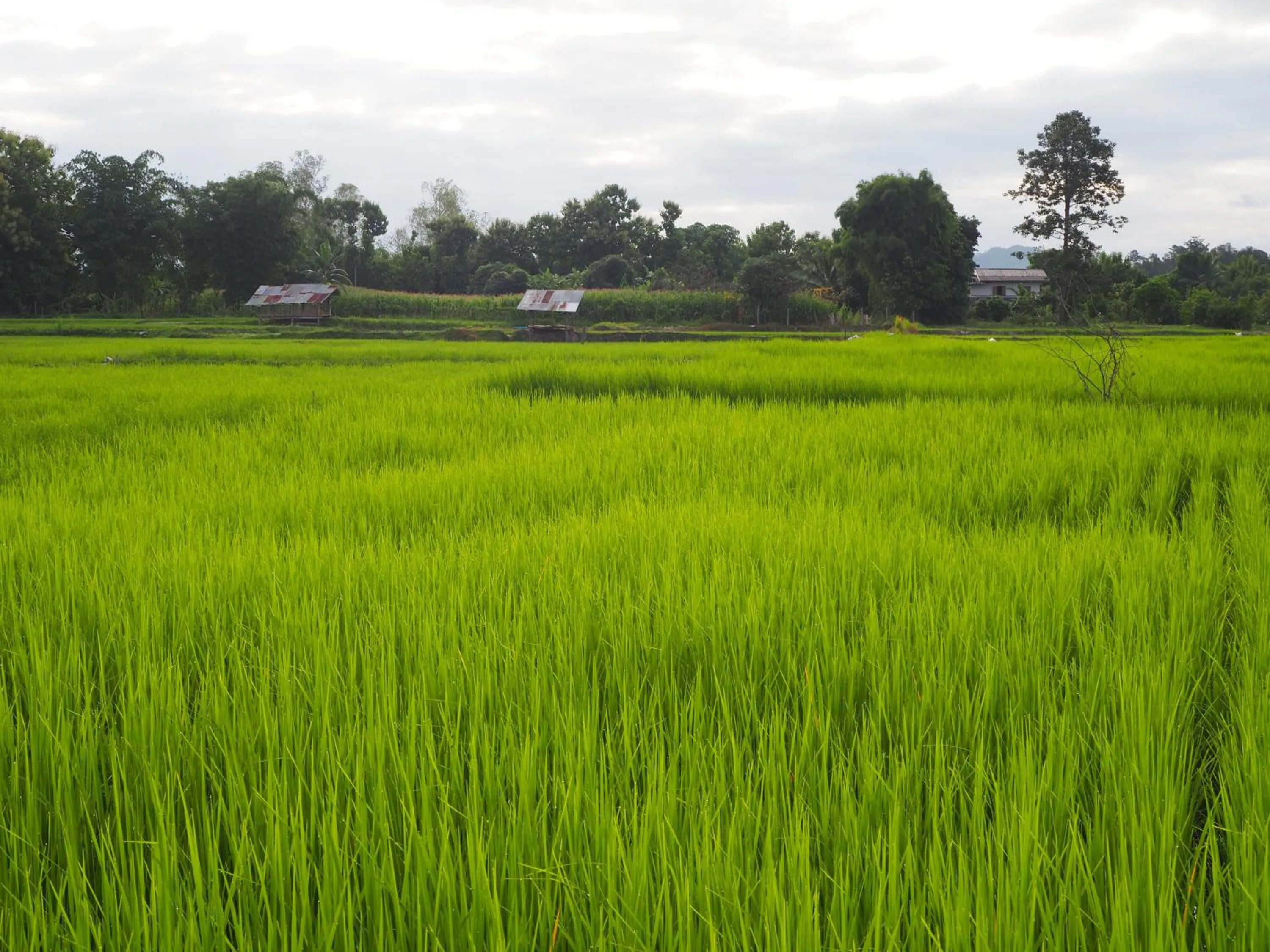 Off site in Ina Boutique Home Nan