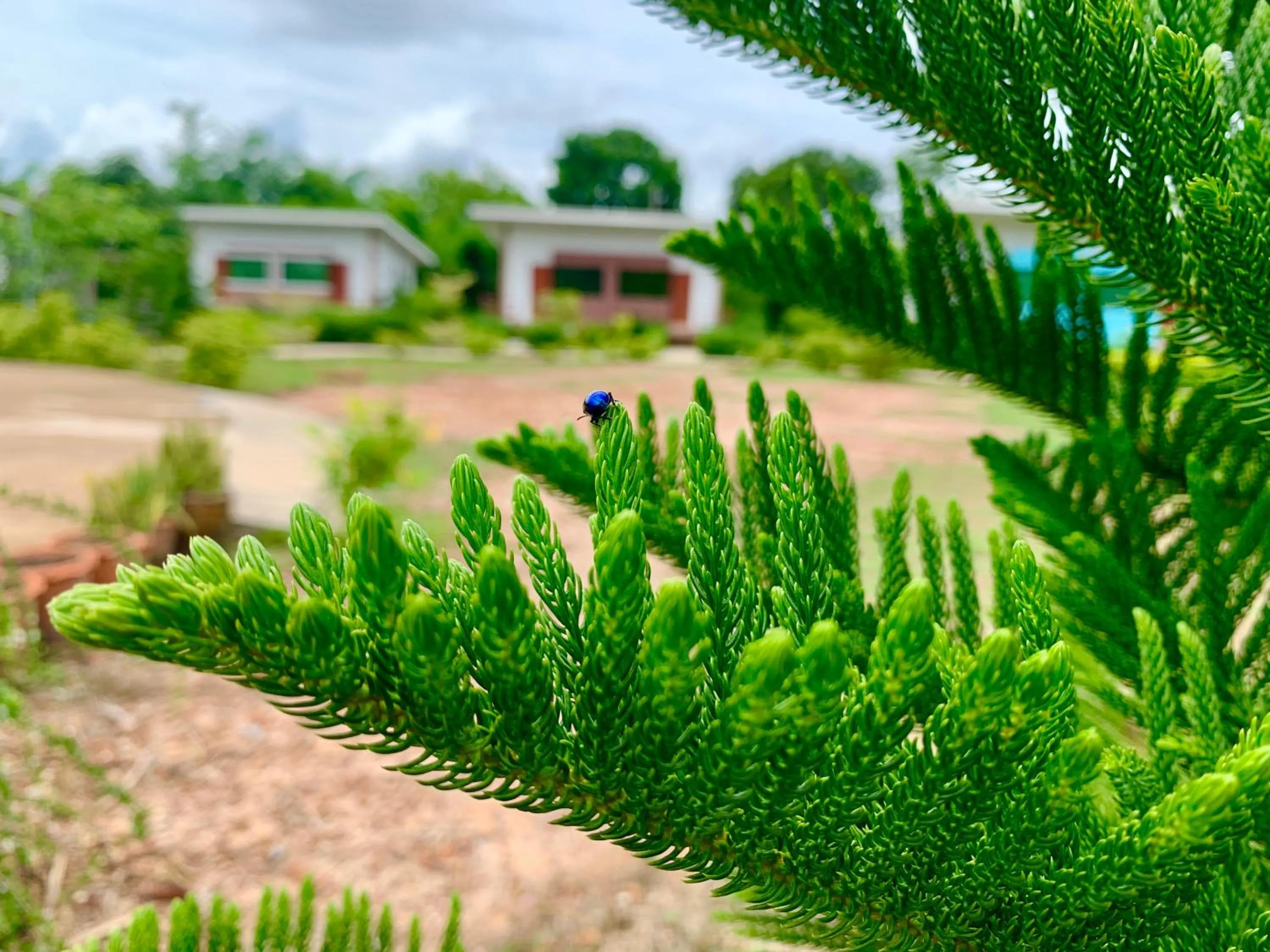 Property building in Ina Boutique Home Nan