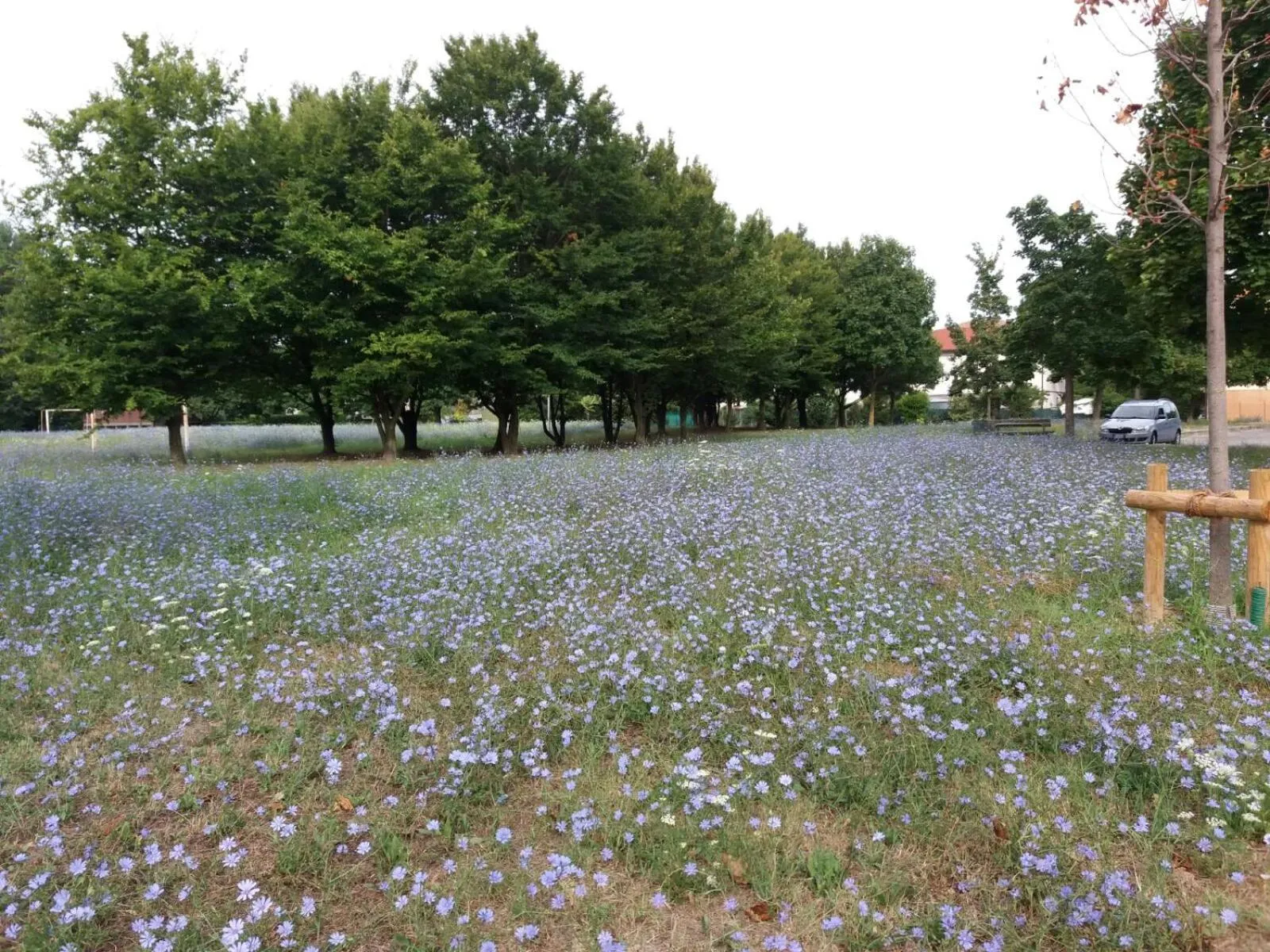 Bed and Breakfast Bio Salix