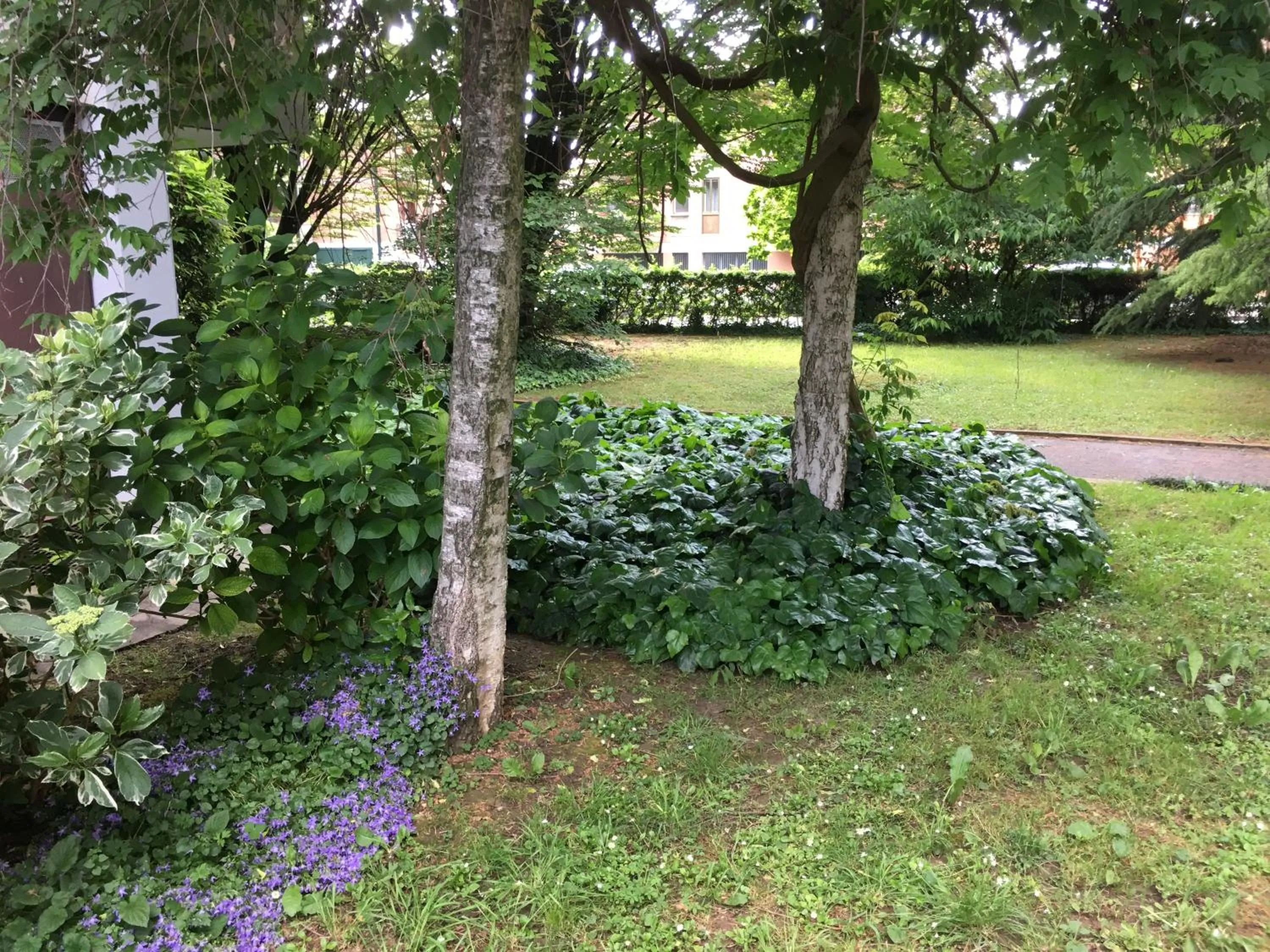 Property building in Bed and Breakfast Bio Salix