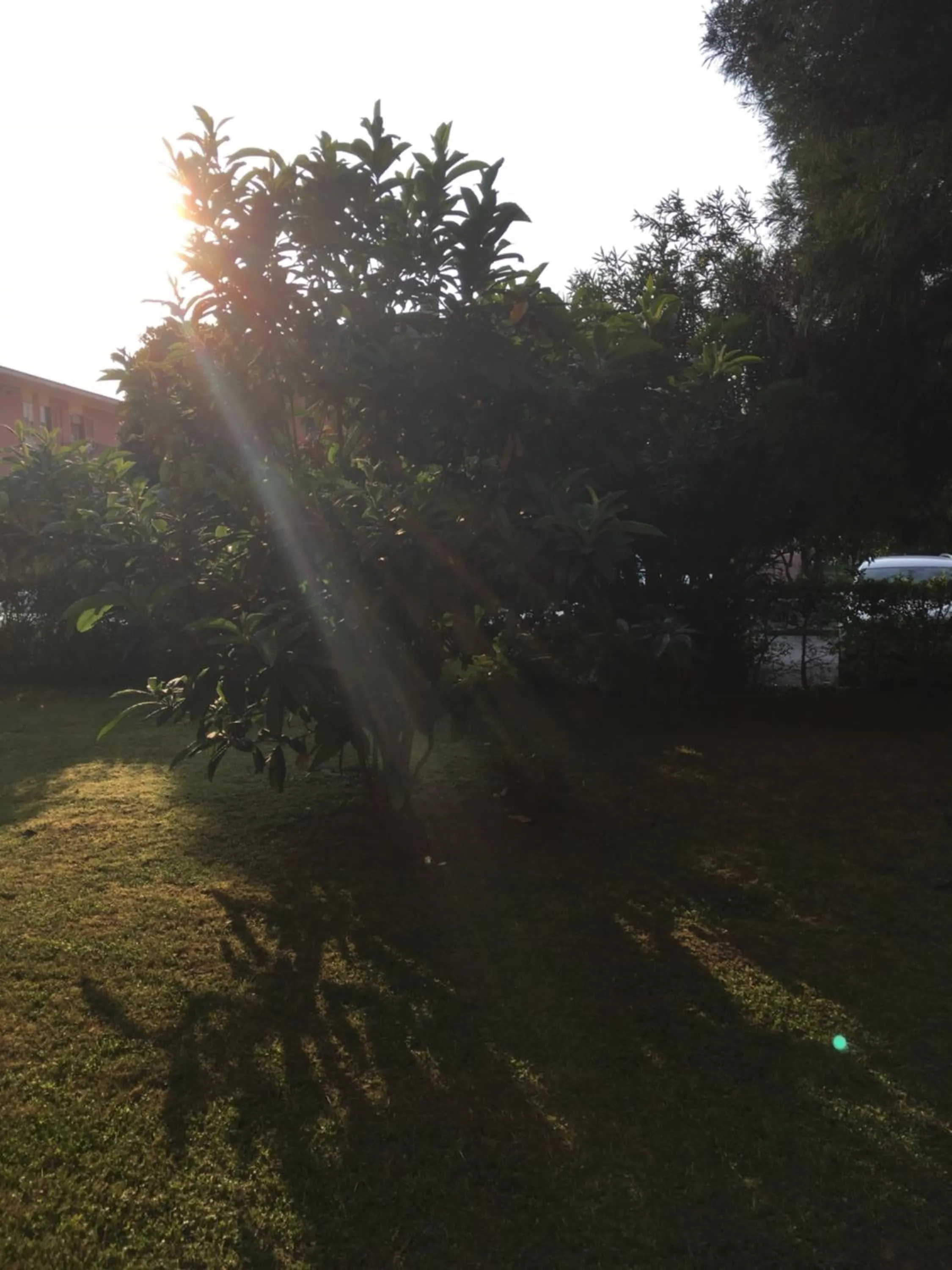 Property building in Bed and Breakfast Bio Salix