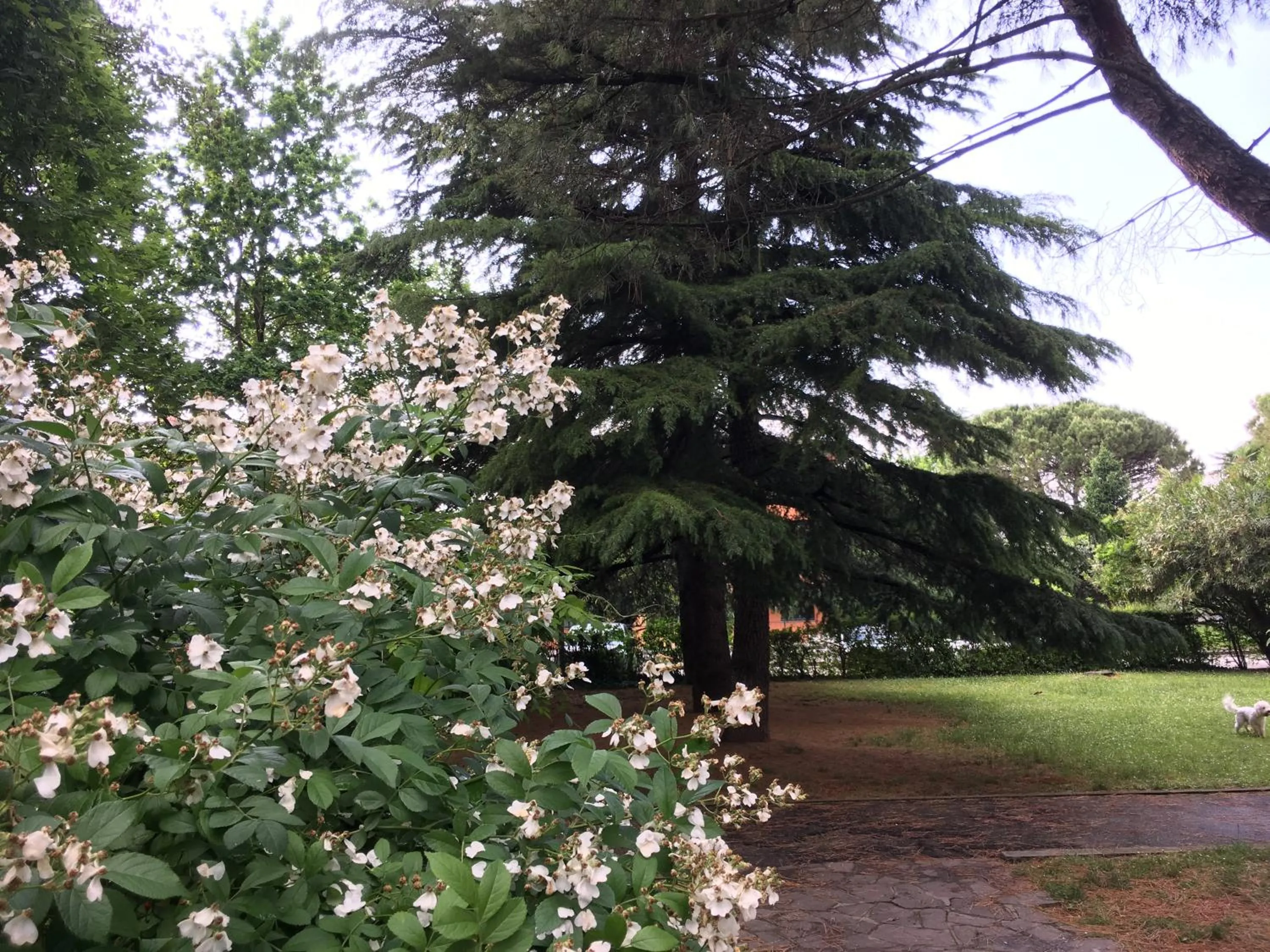 Property building in Bed and Breakfast Bio Salix