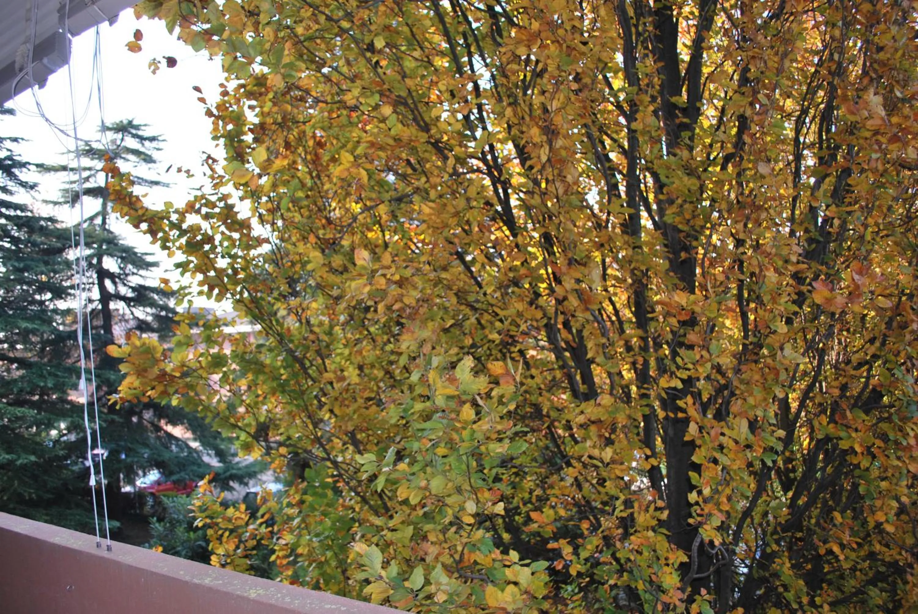 Bed and Breakfast Bio Salix