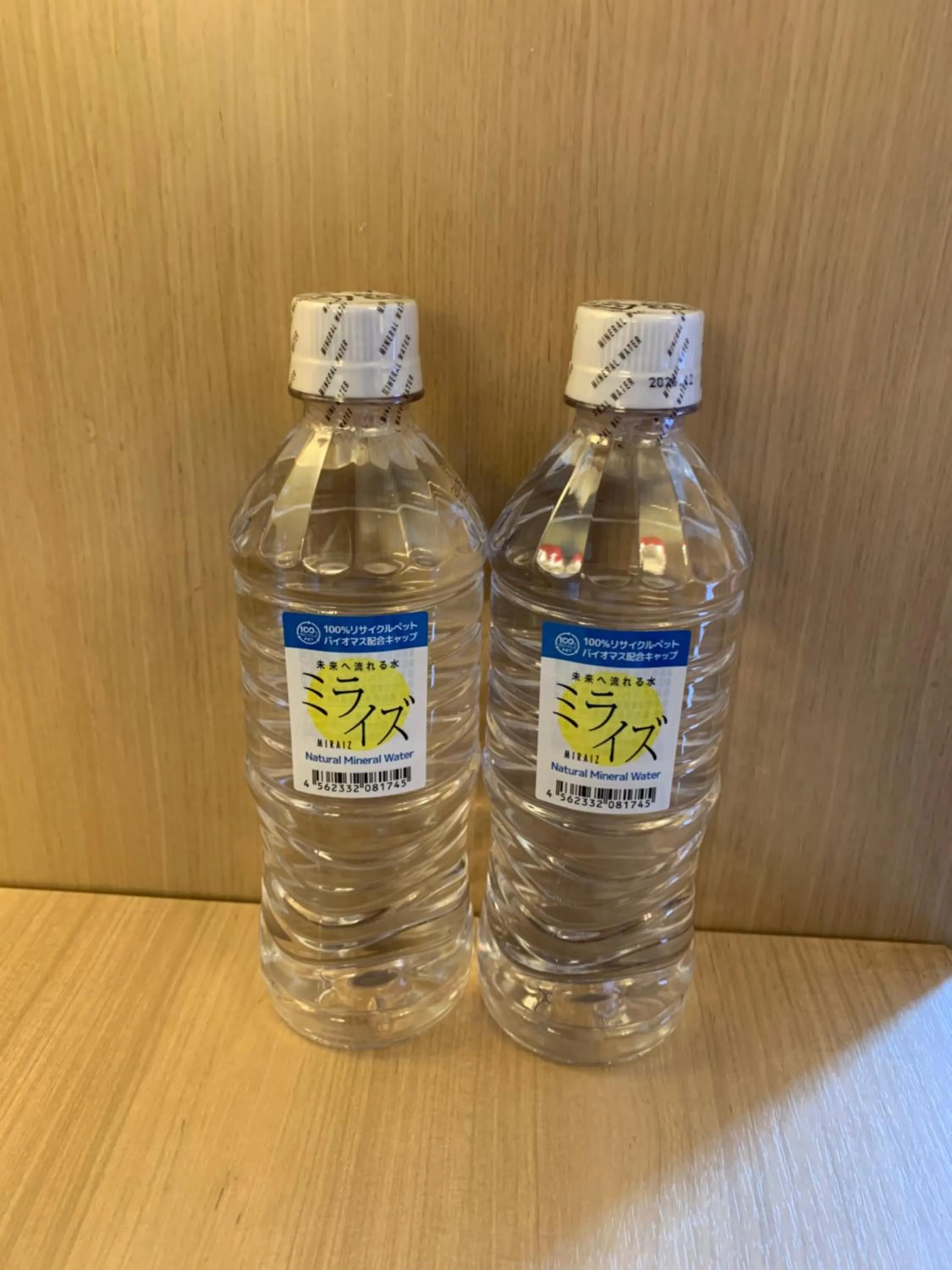 Hotel Monterey Kyoto