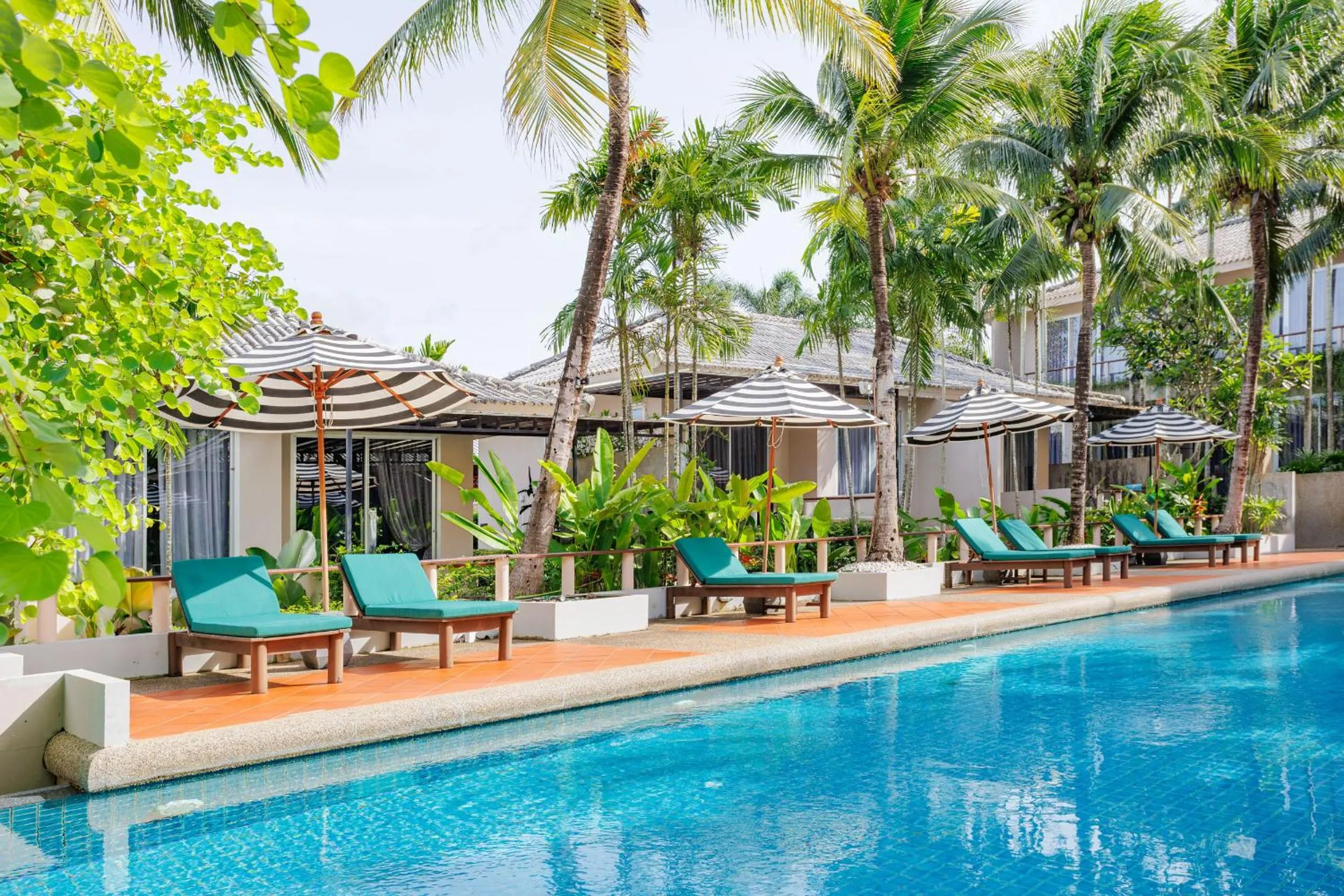 Swimming pool in Signature Phuket Resort