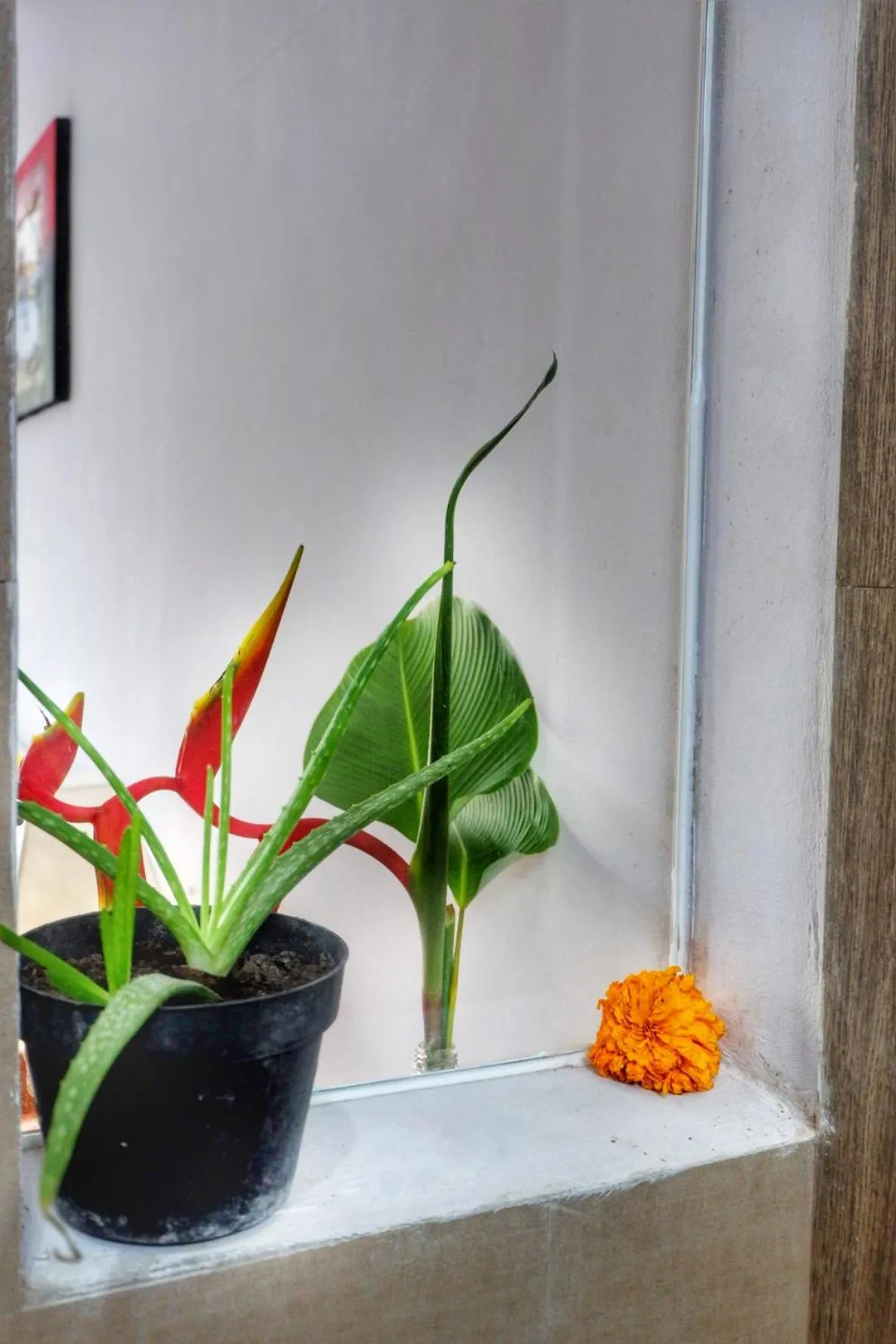 Area and facilities in Canang Gardens