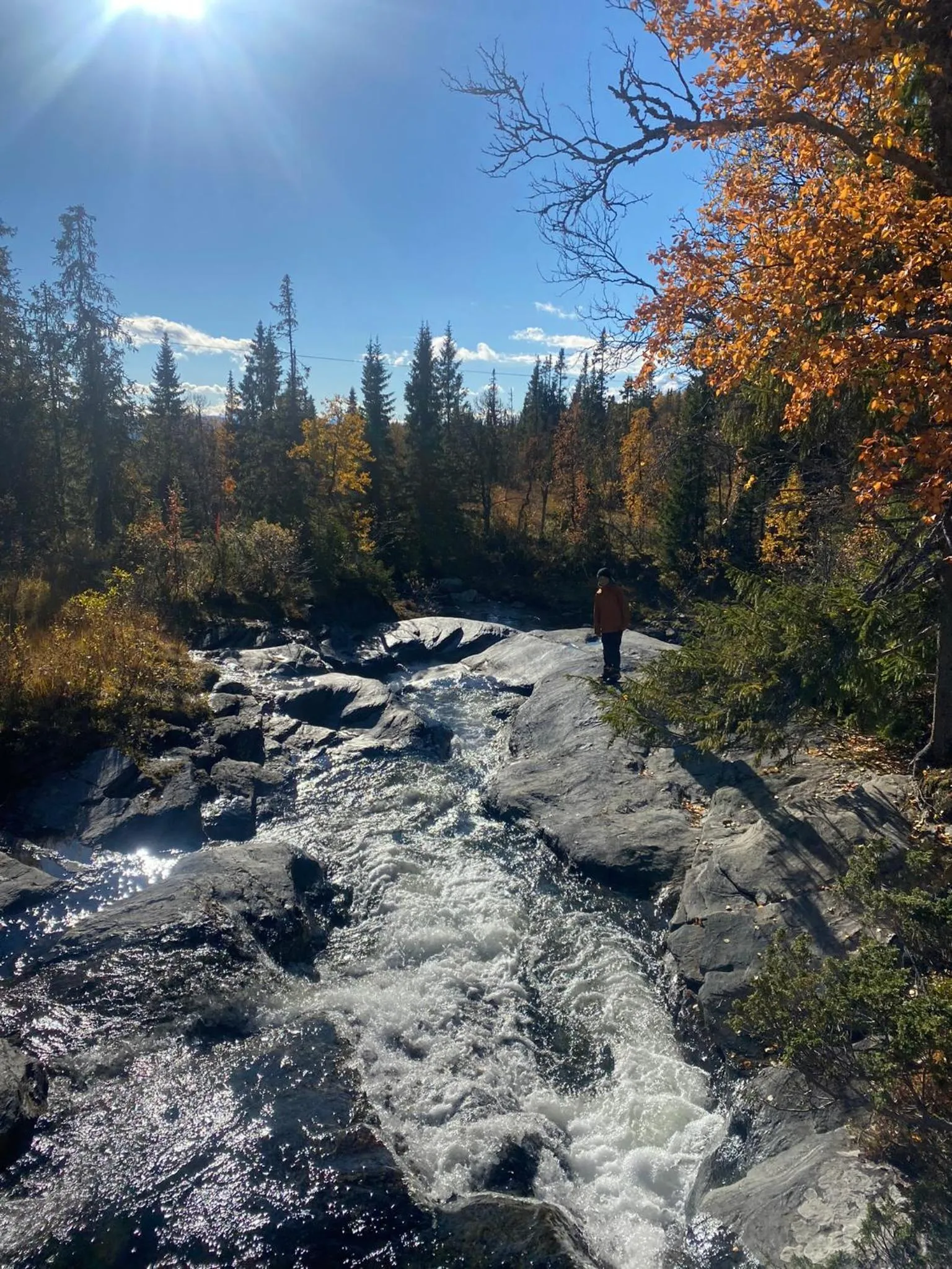Hiking in Millestgården Eco lodge