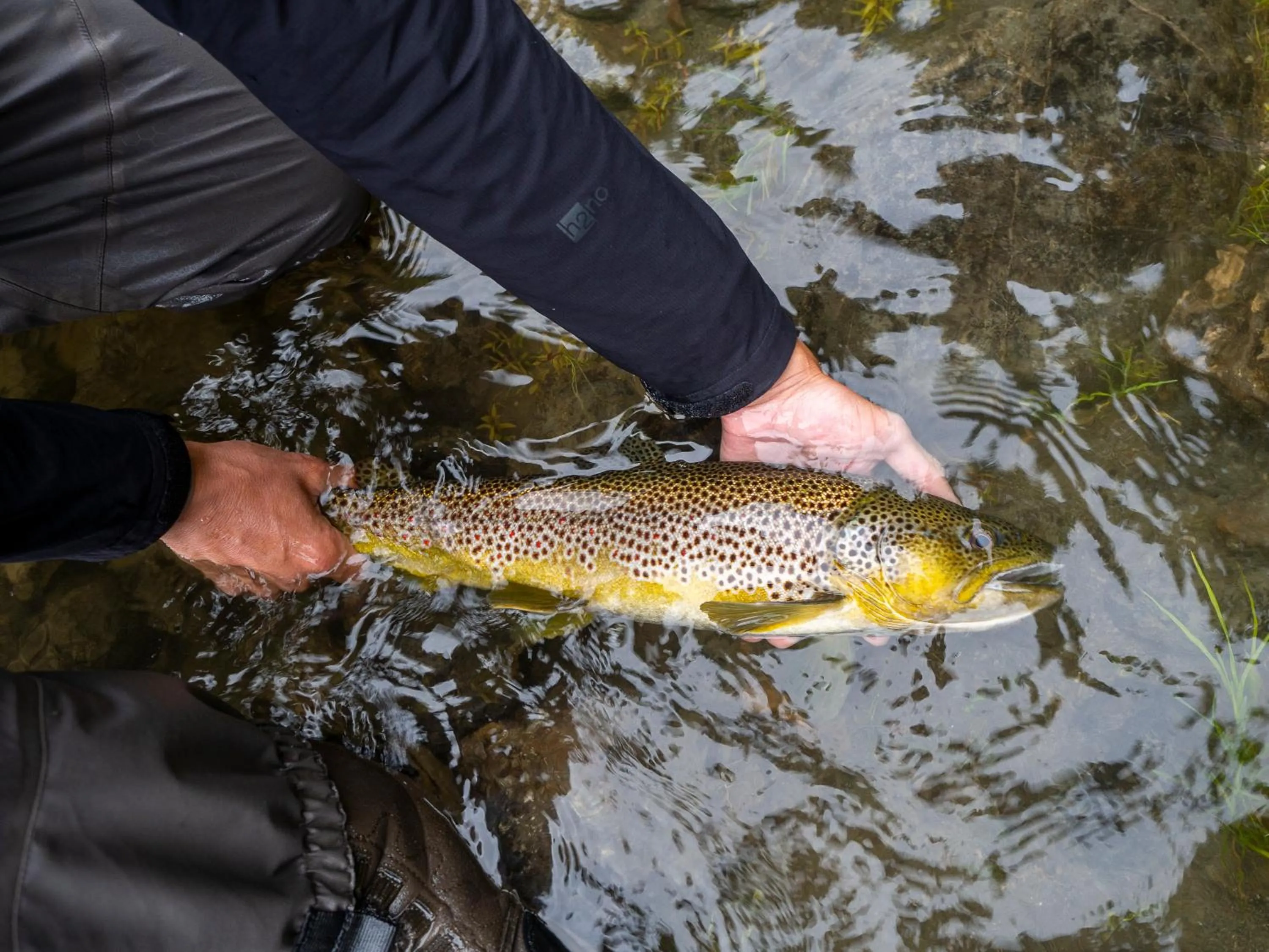 Fishing in Millestgården Eco lodge