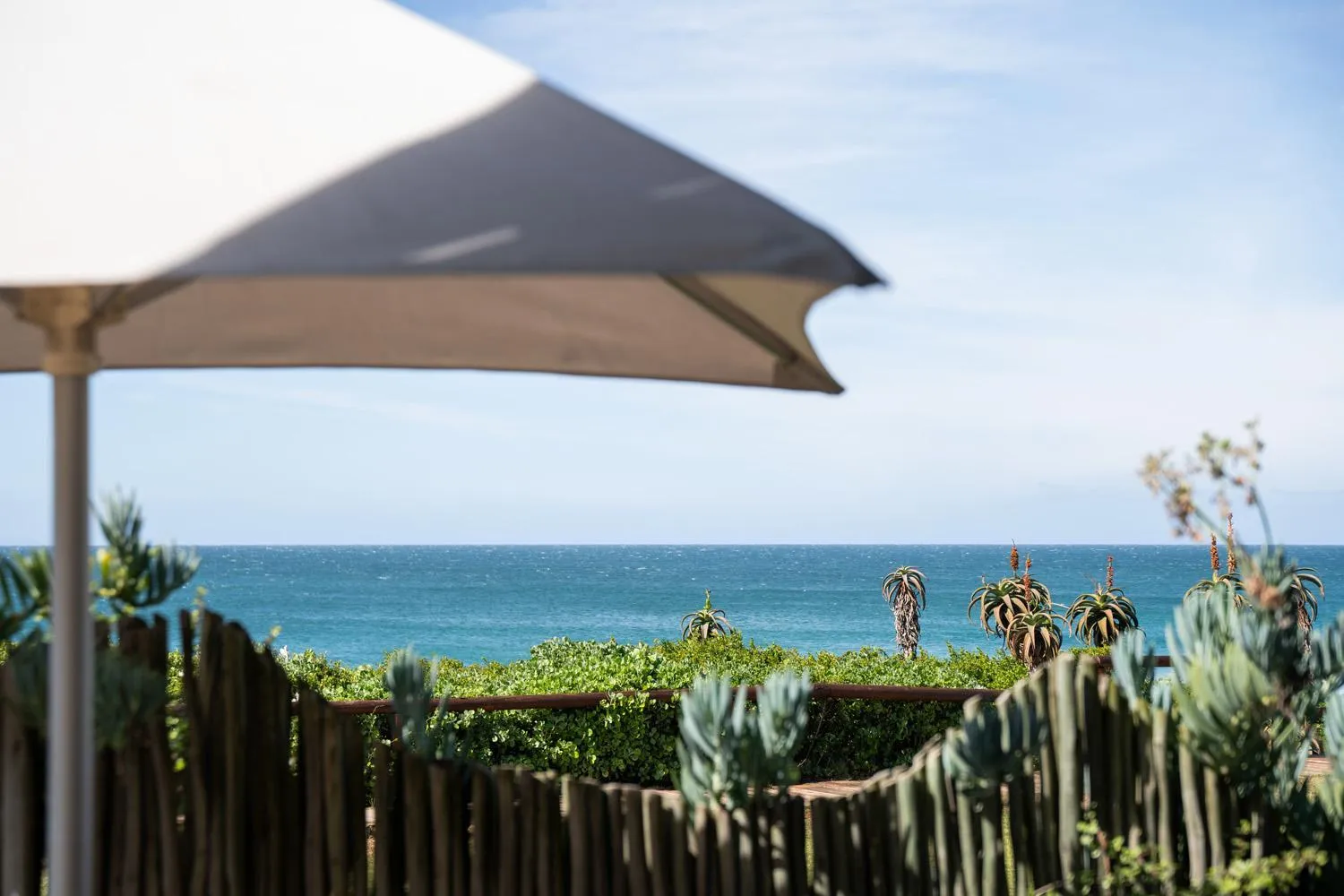 View (from property/room) in African Perfection 1