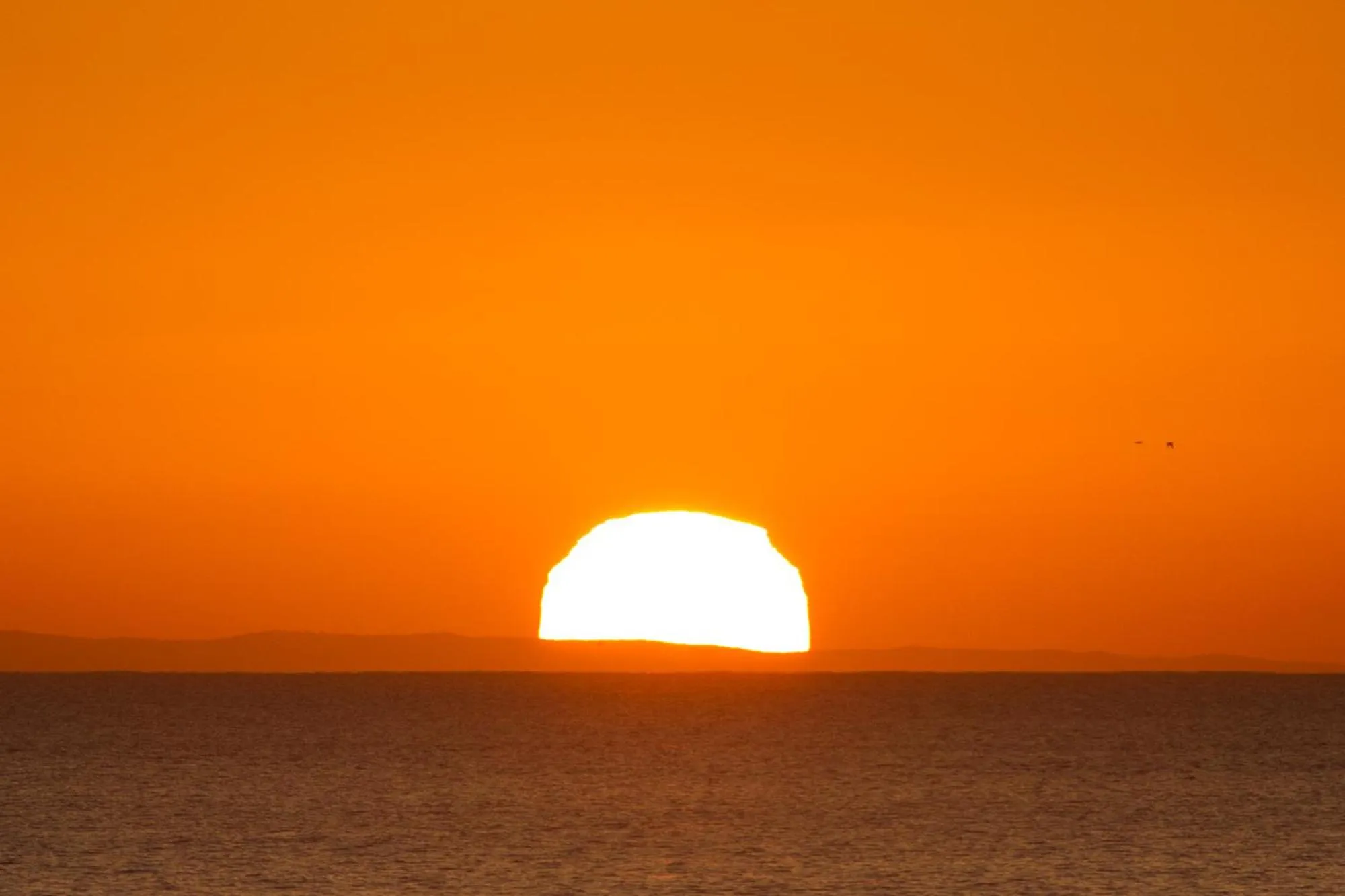 On site in African Perfection 1