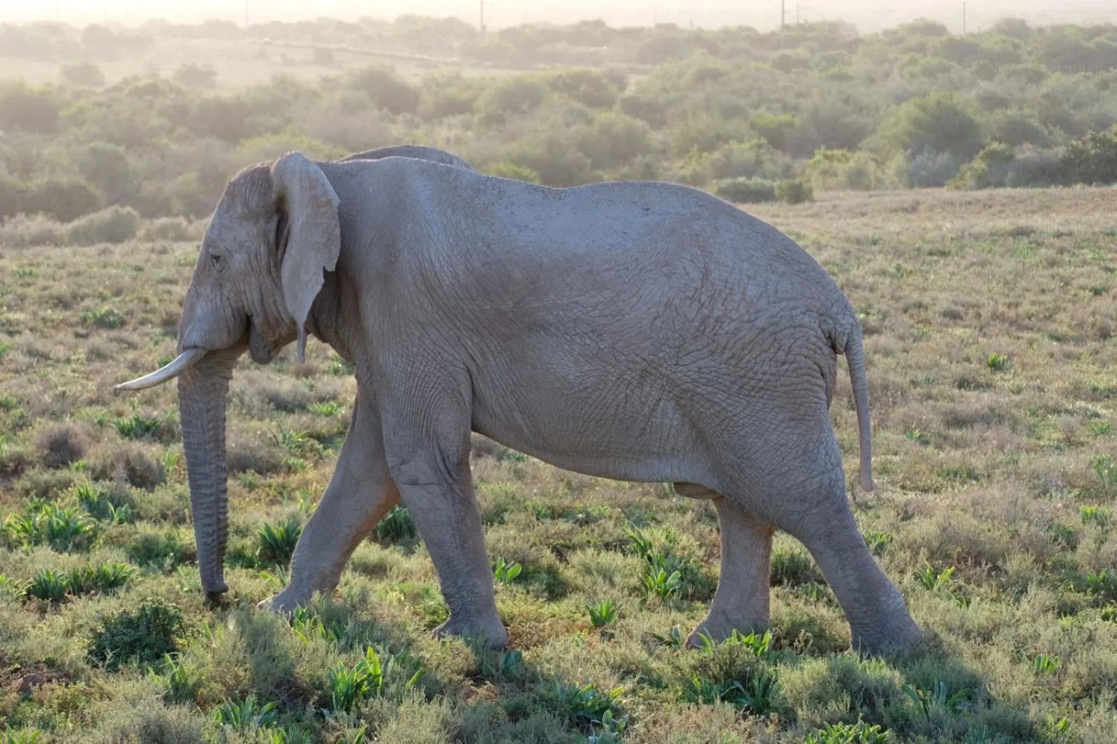 Activities in Seven Fountains Farm