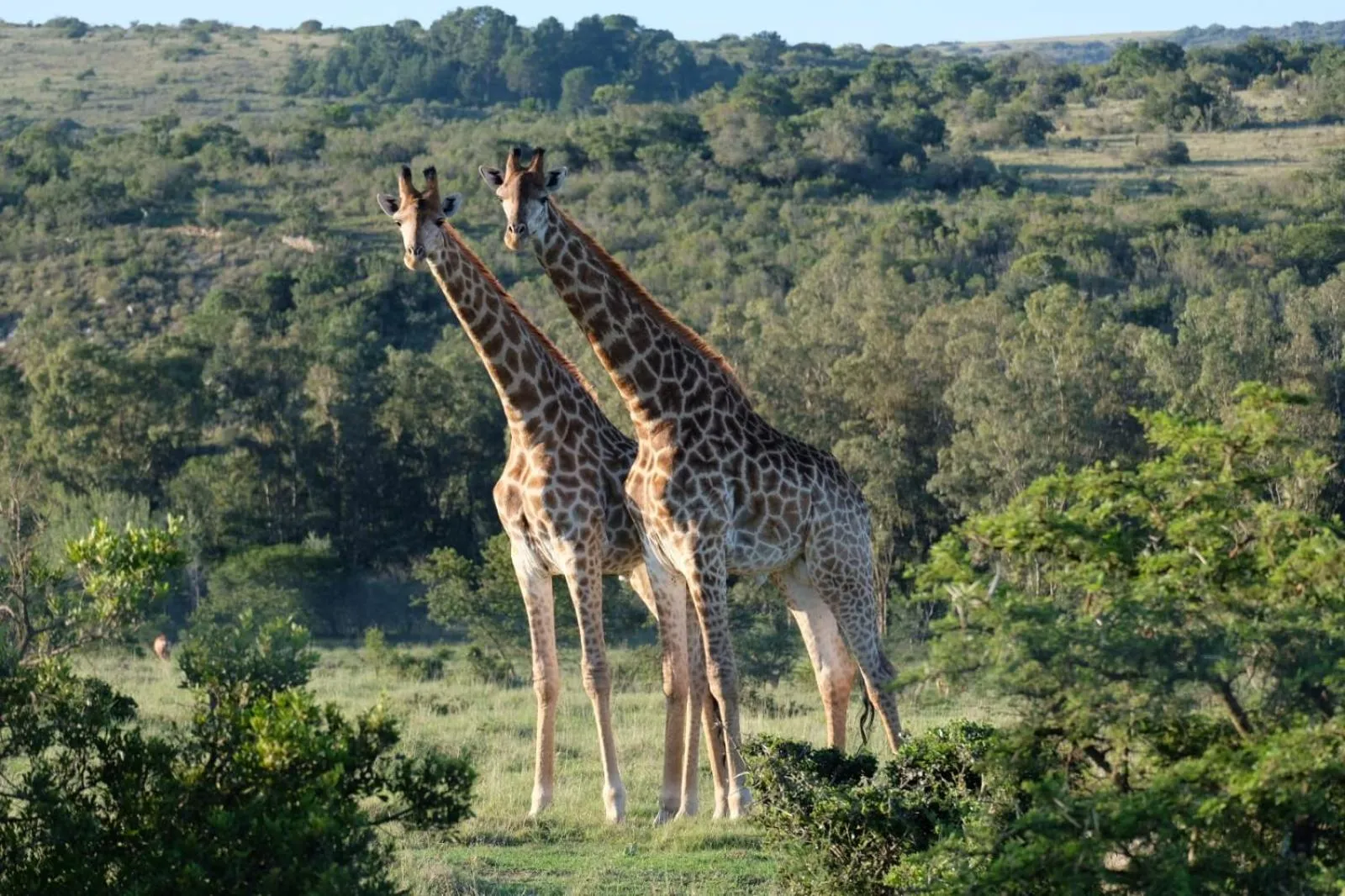 Activities in Seven Fountains Farm