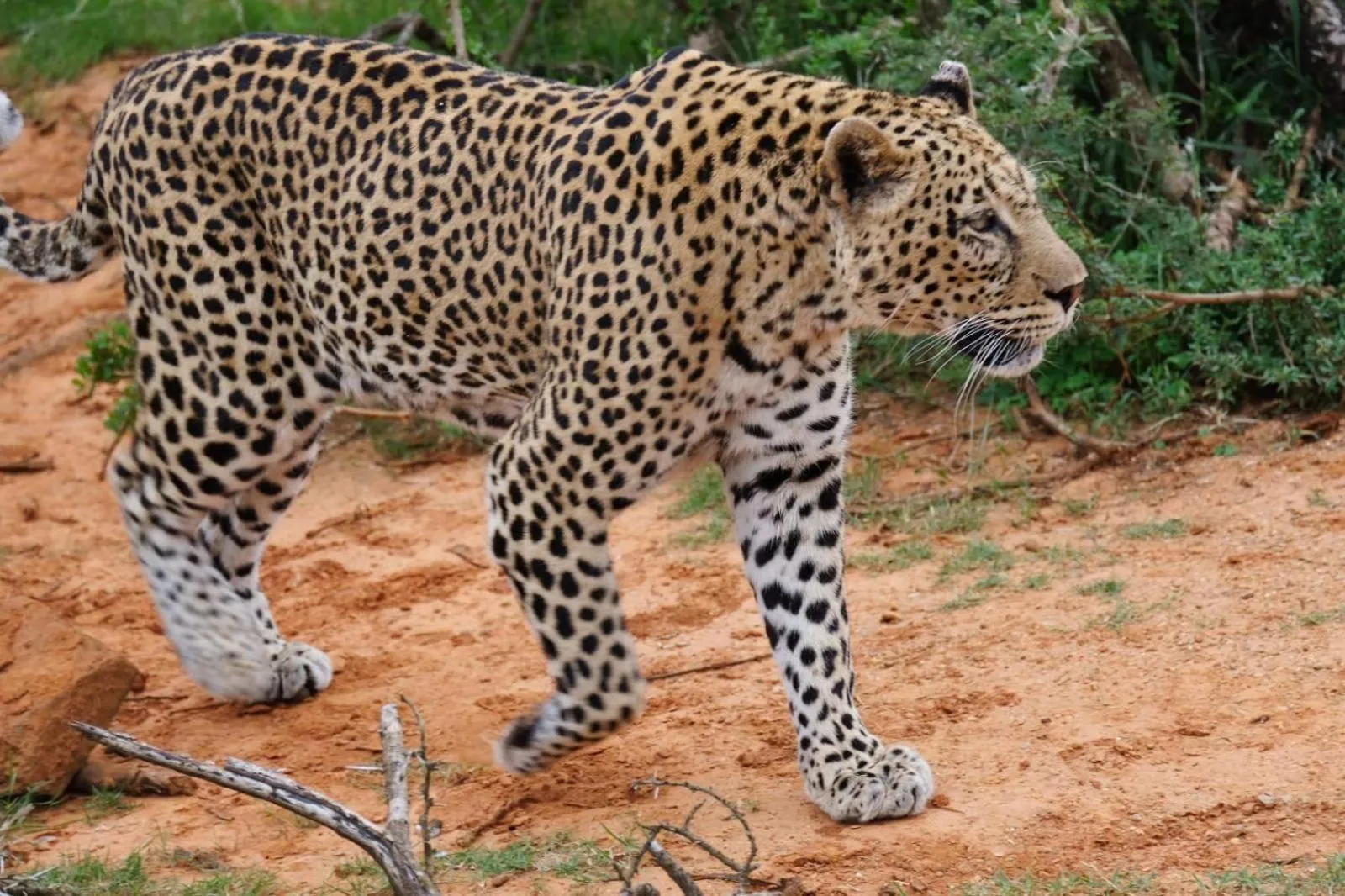 Activities in Seven Fountains Farm