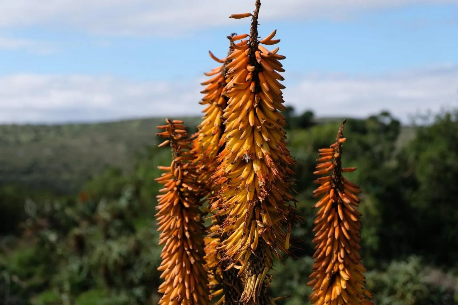 Natural landscape in Seven Fountains Farm