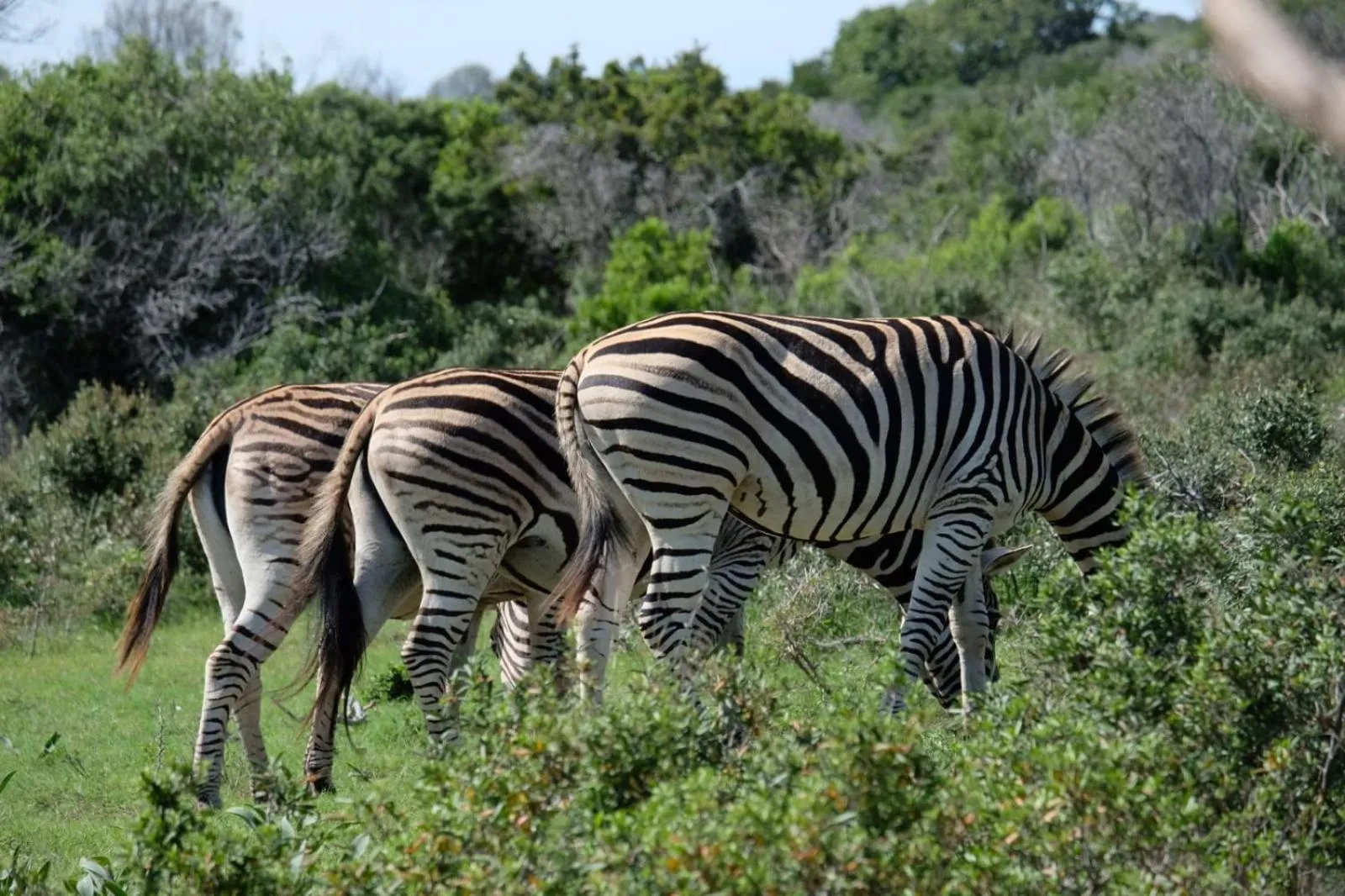 Activities in Seven Fountains Farm