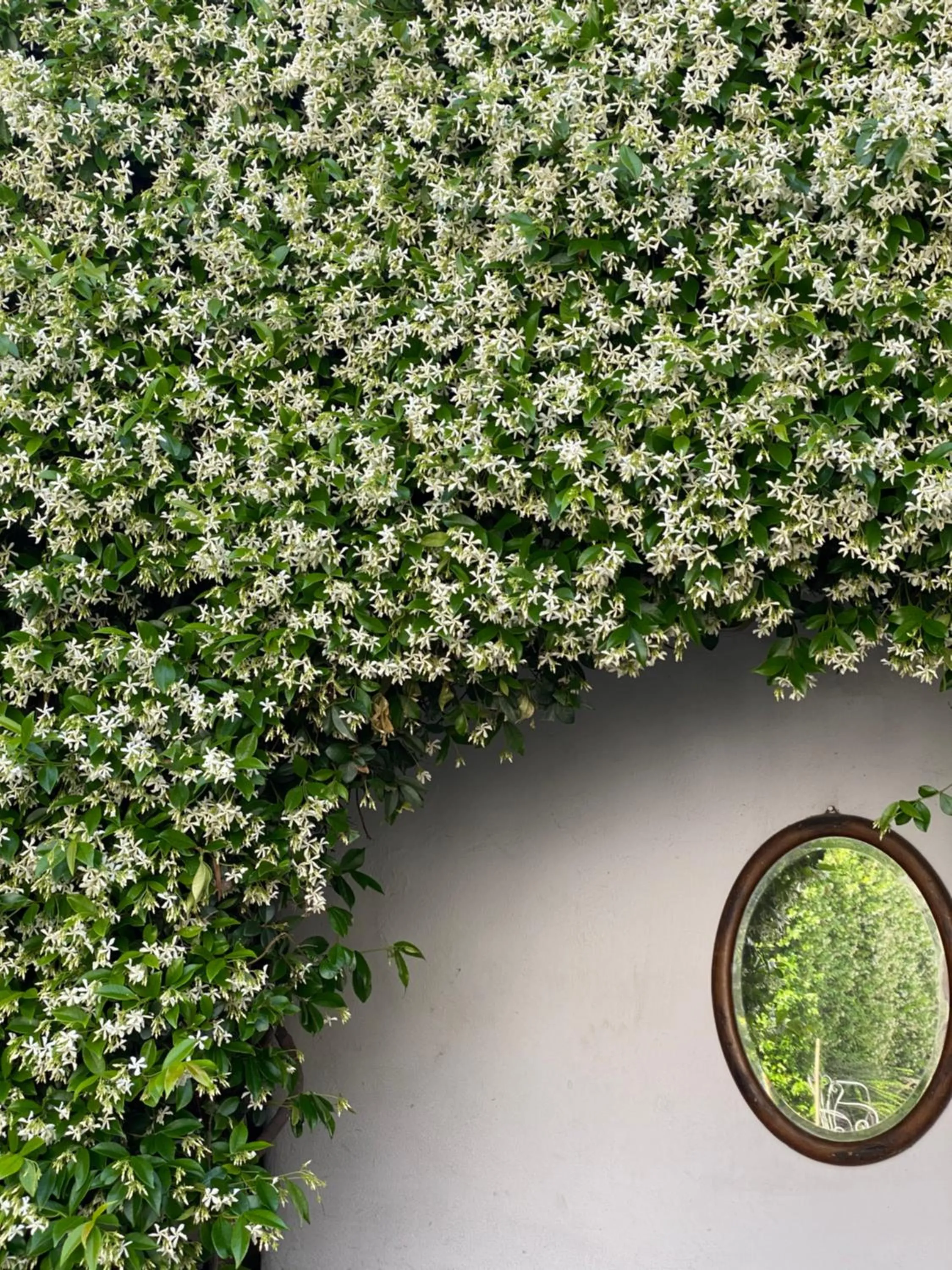 Spring in Antica Corte Milanese