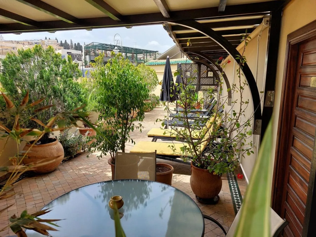 Garden in Riad Andalib