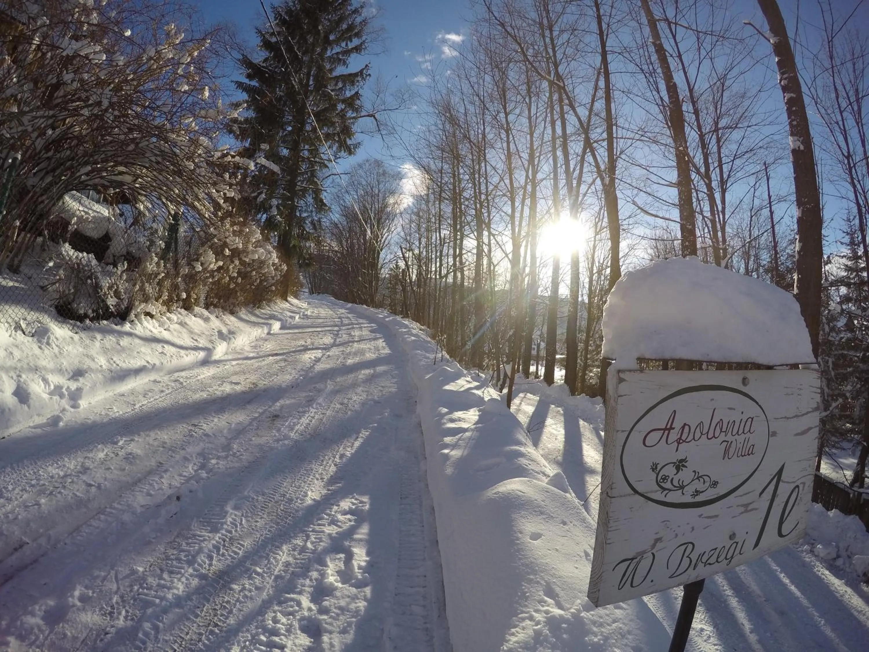 Neighbourhood in Apolonia Willa