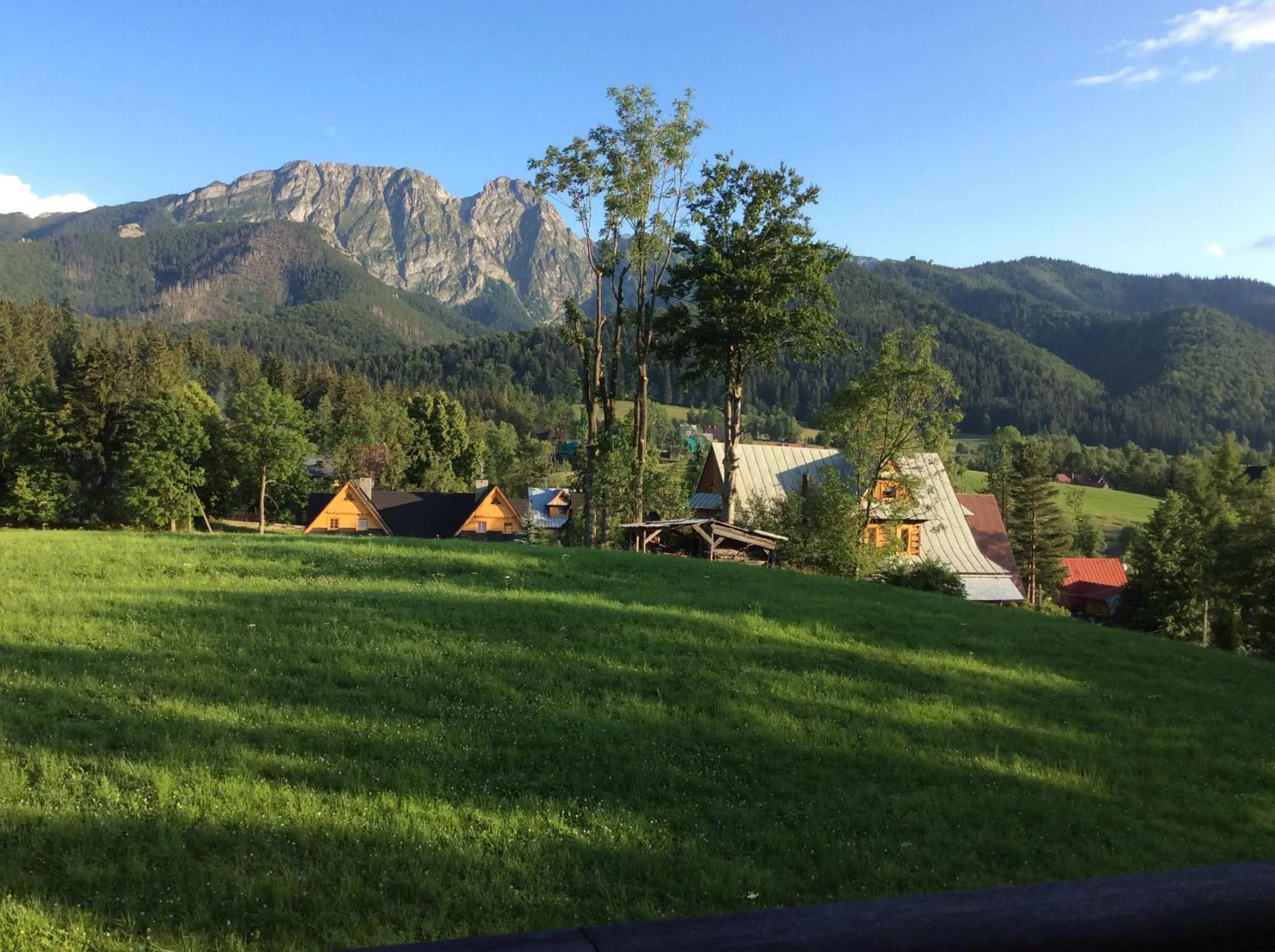 Natural landscape in Apolonia Willa