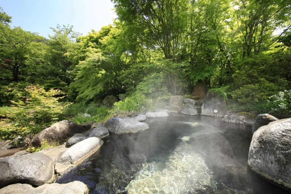 Hot Spring Bath in Kasuga no Mori