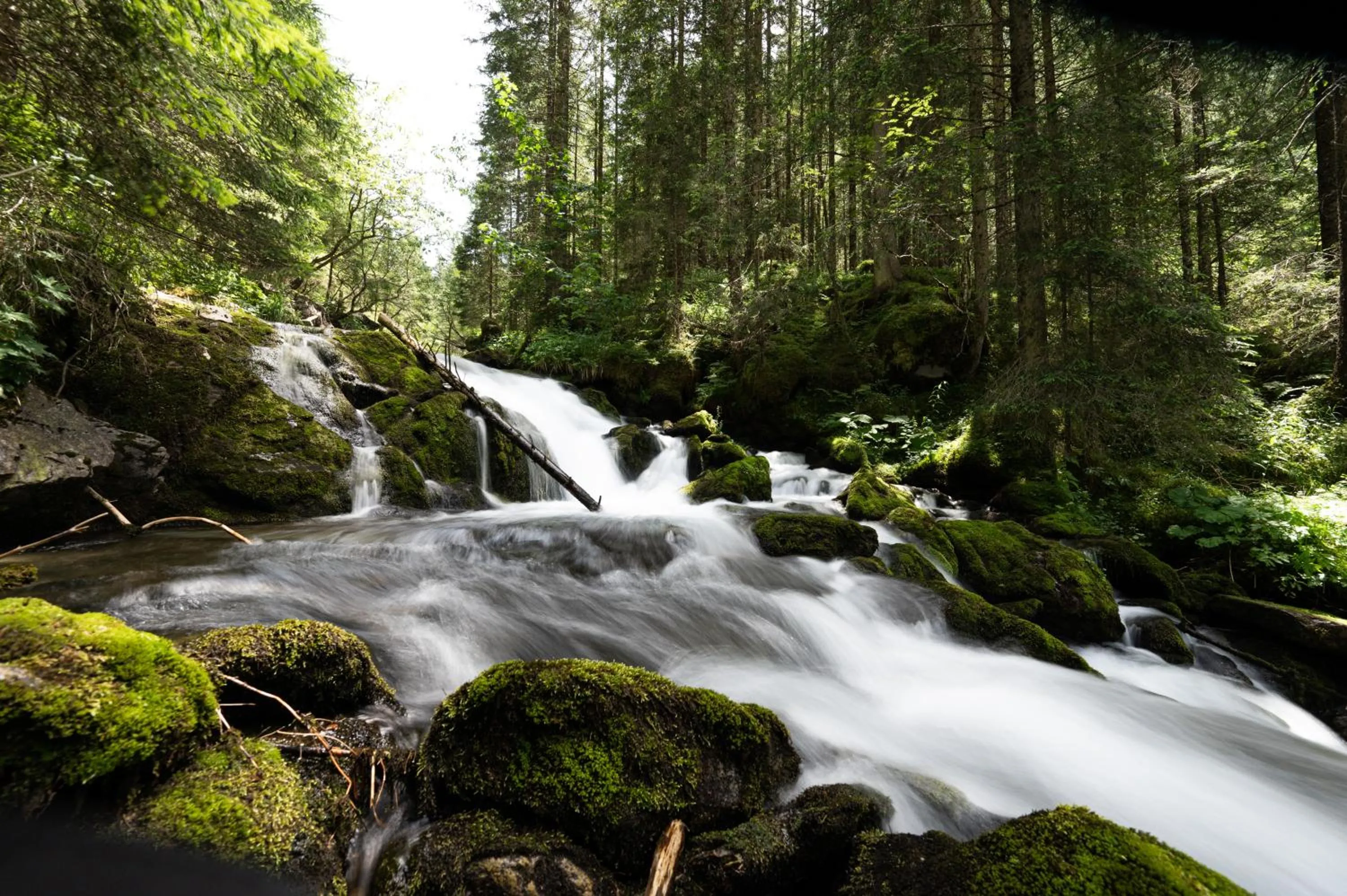 Activities in Hotel Gratz Großarl