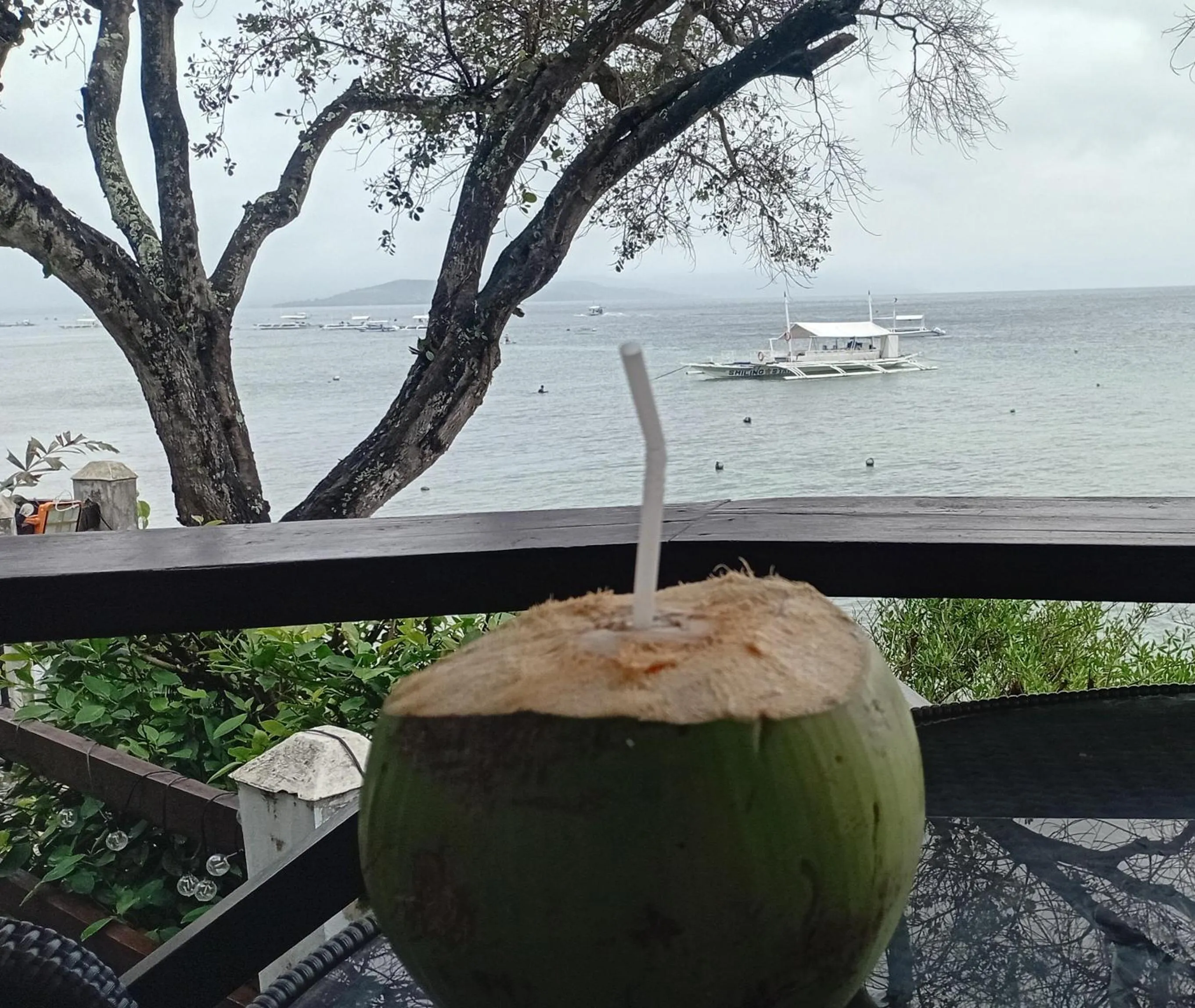 Pescador View Beachfront and Extension by the Ocean Hostels & Restaurant Moalboal