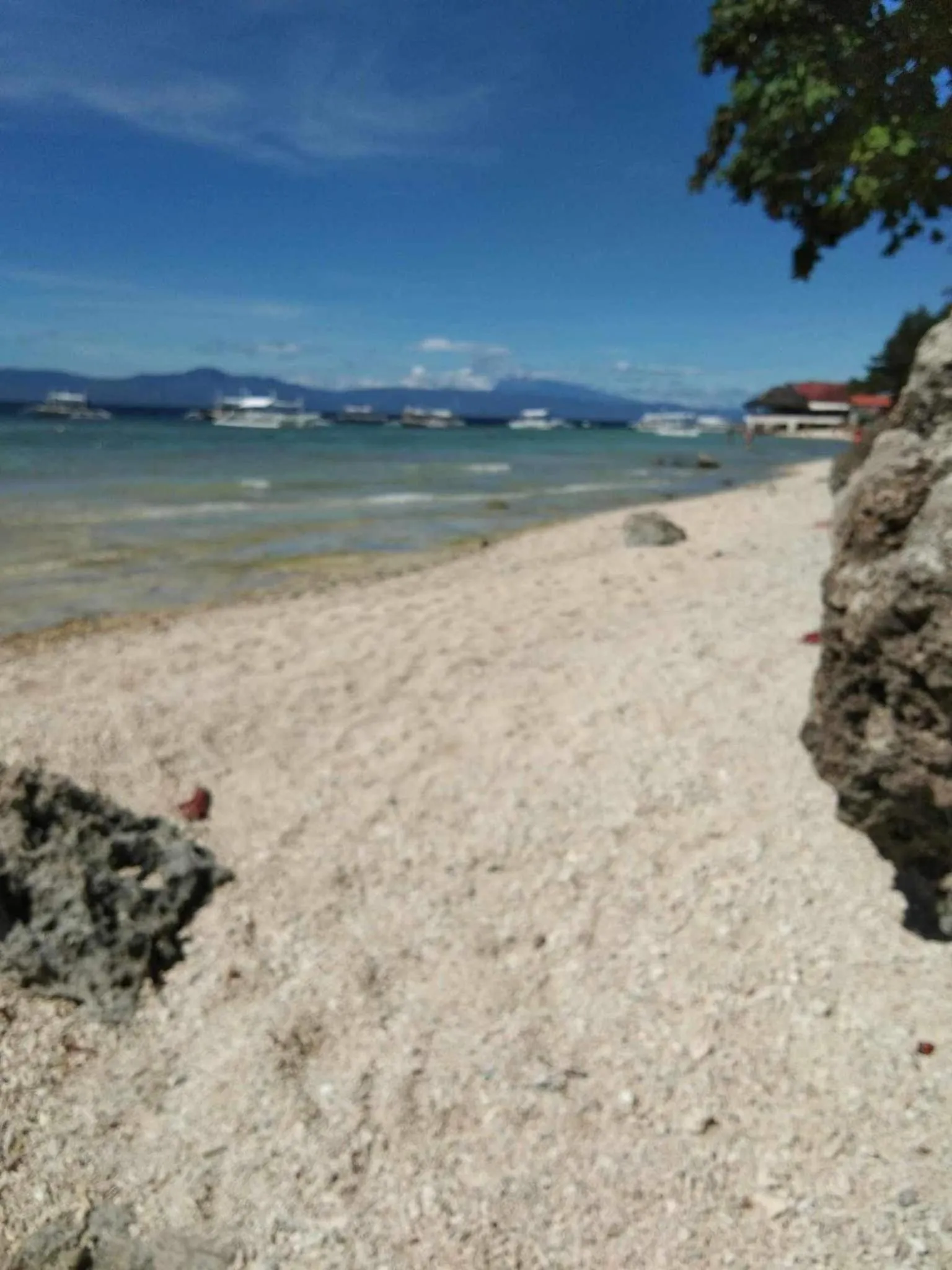 Pescador View - Beachfront ,Extensions & nearby the Ocean Hostels & Restaurant Moalboal