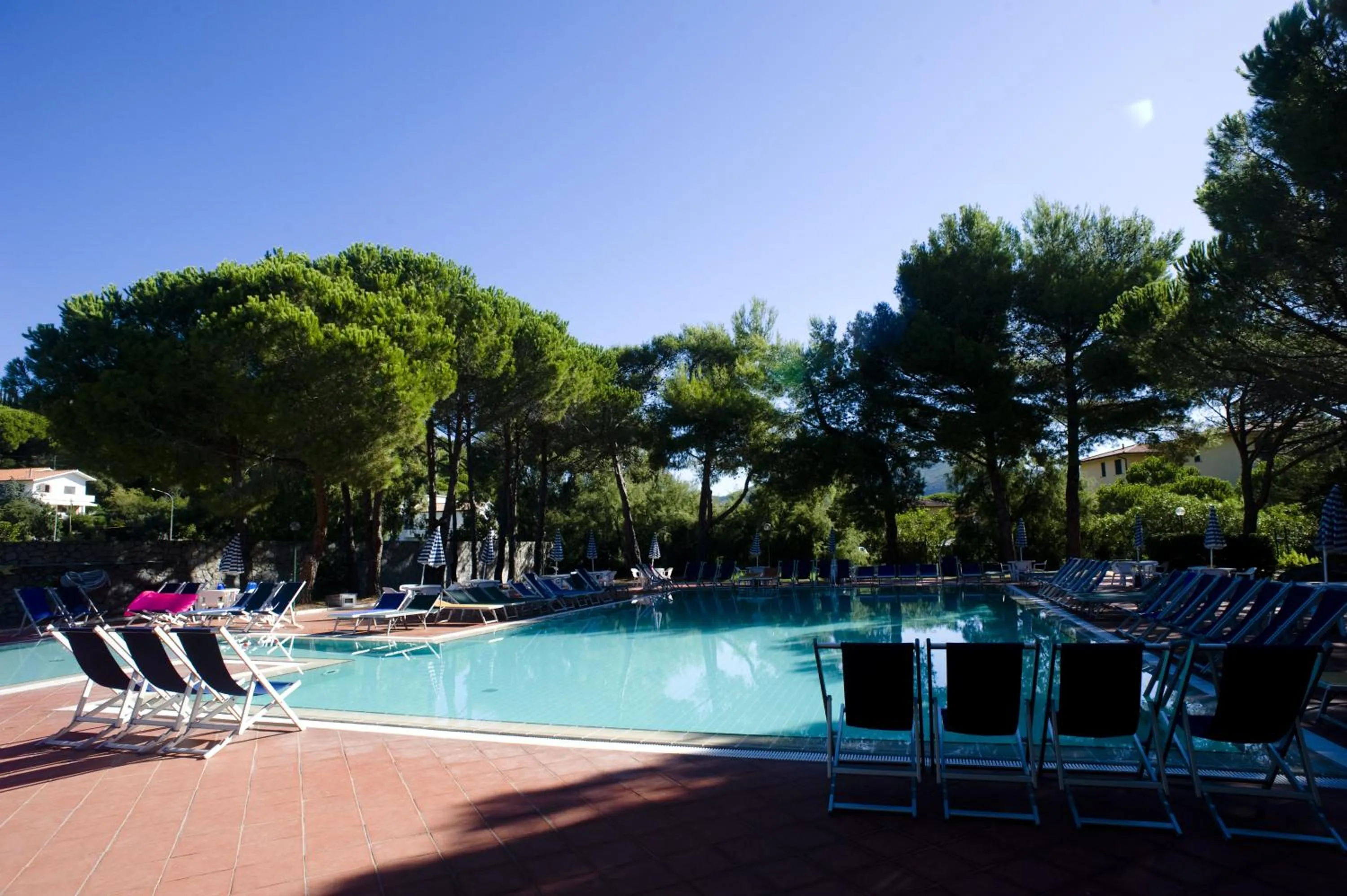 Swimming pool in Residence Elite