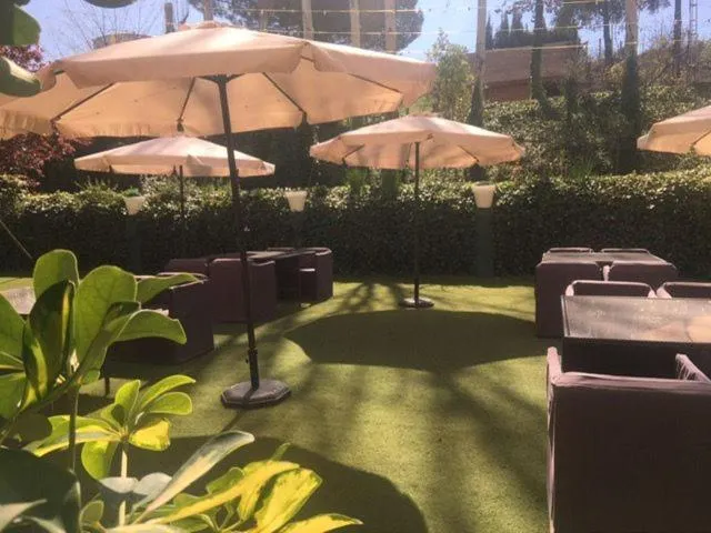 Garden in Hotel Torres I