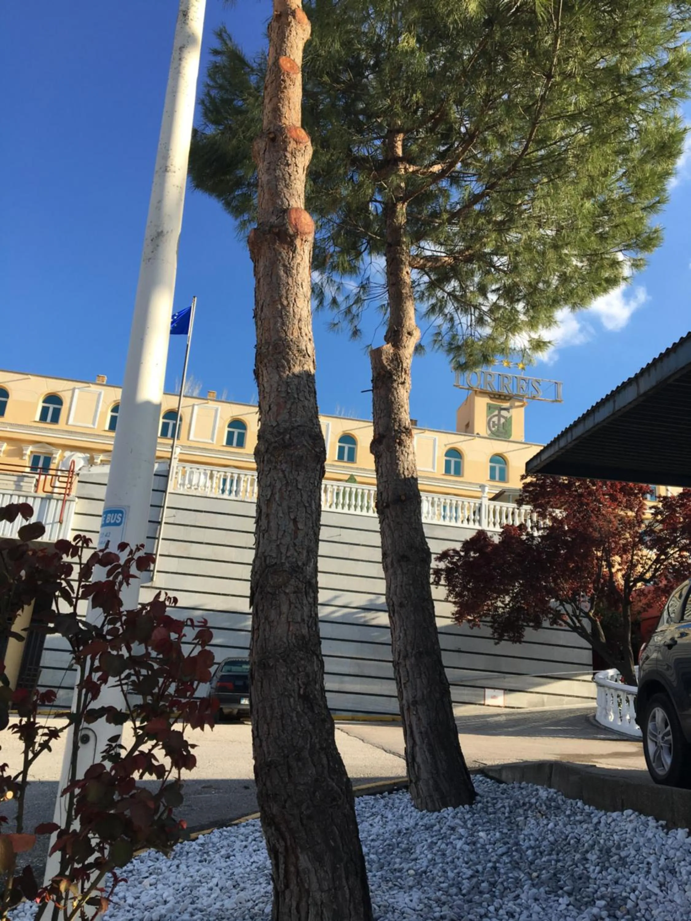 Facade/entrance in Hotel Torres I