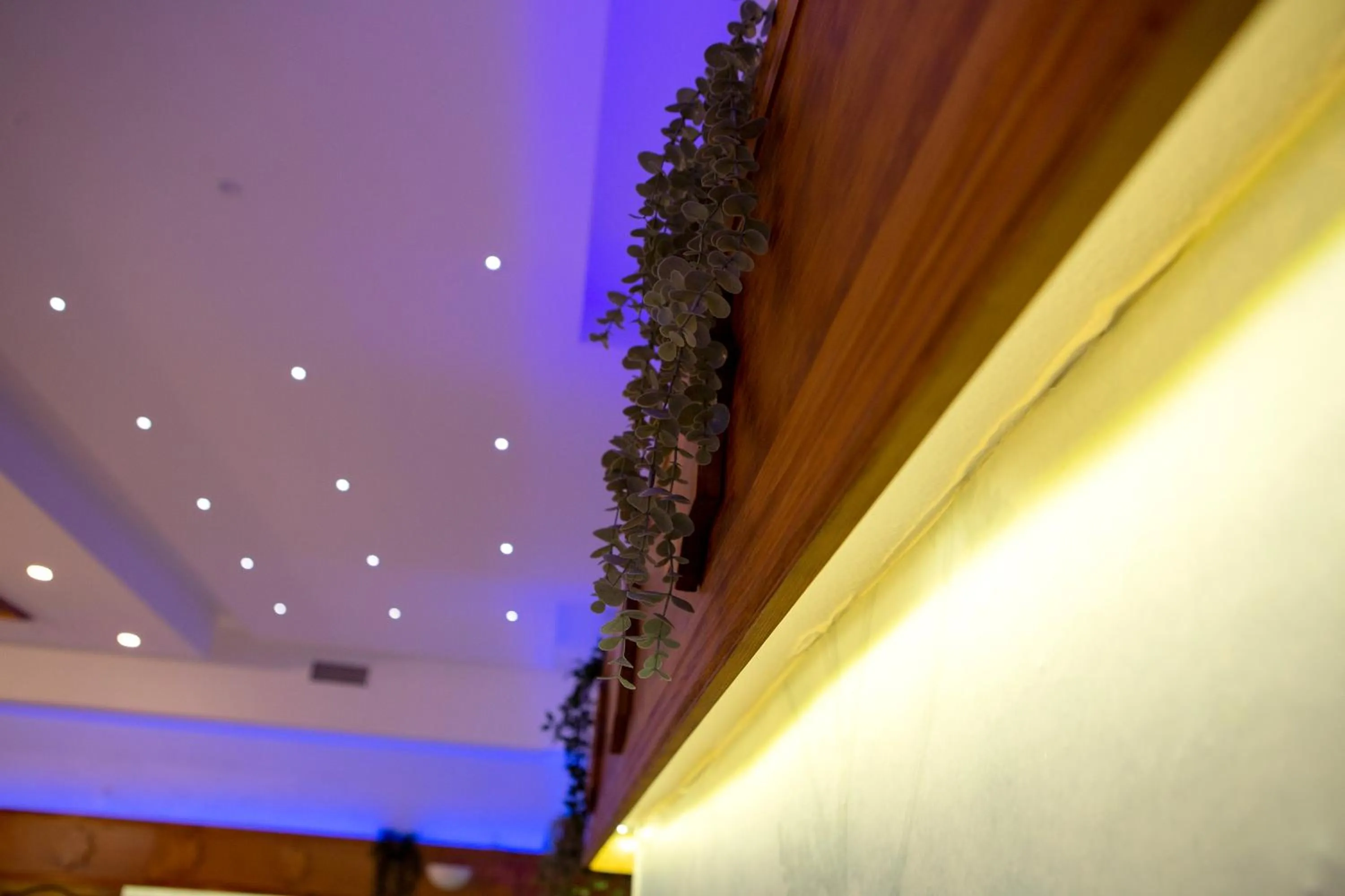 Restaurant/places to eat in Hotel Torres I