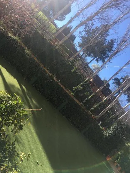 Garden in Hotel Torres I