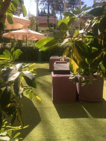 Garden in Hotel Torres I