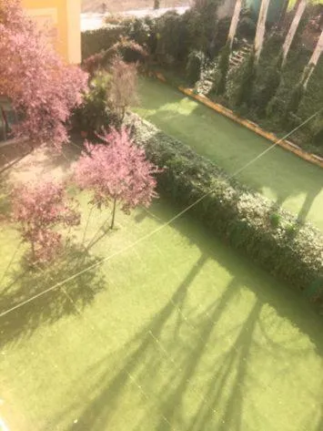 Garden in Hotel Torres I