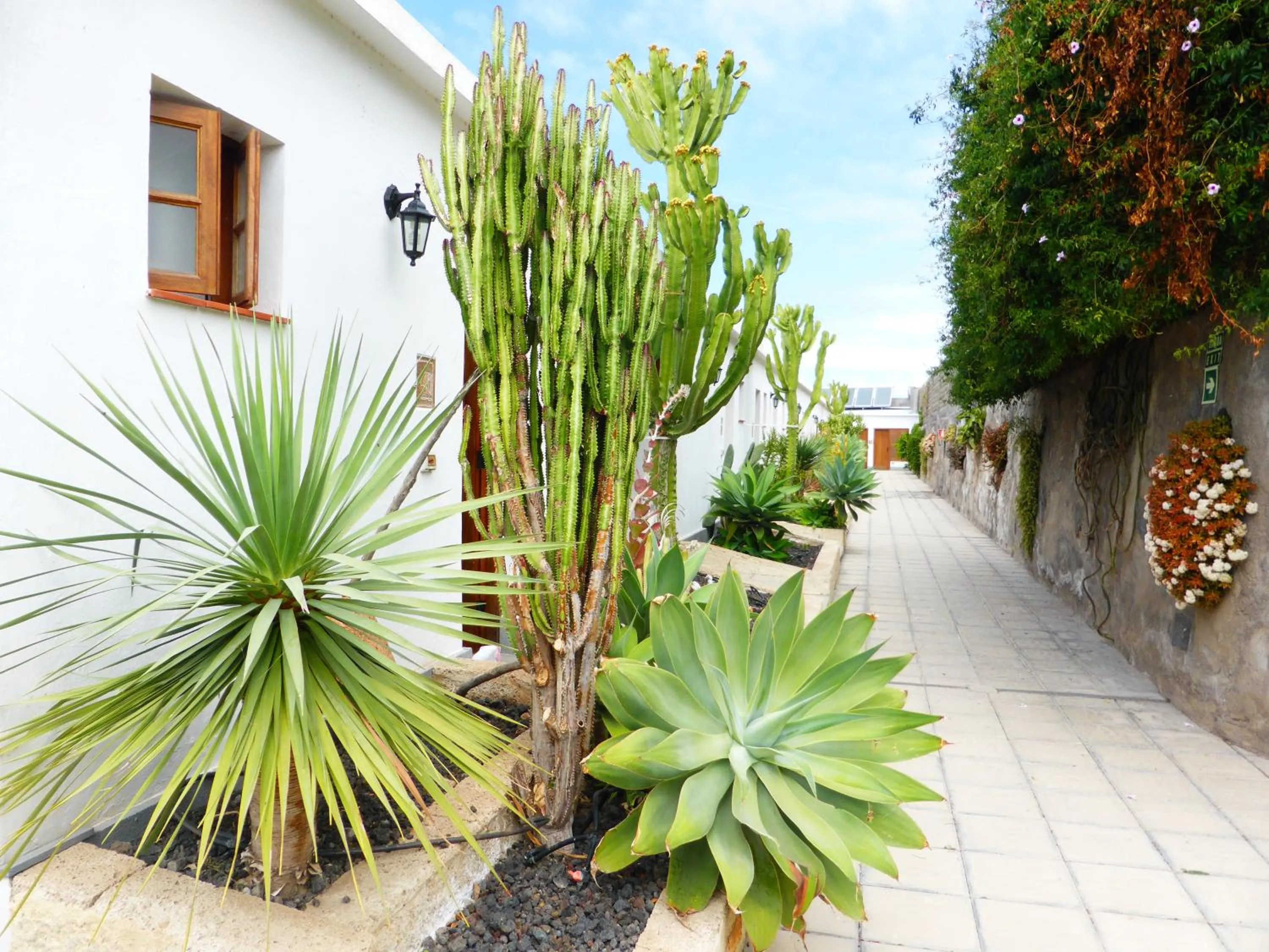 Facade/entrance in Hotel Rural El Navío - Adults Only