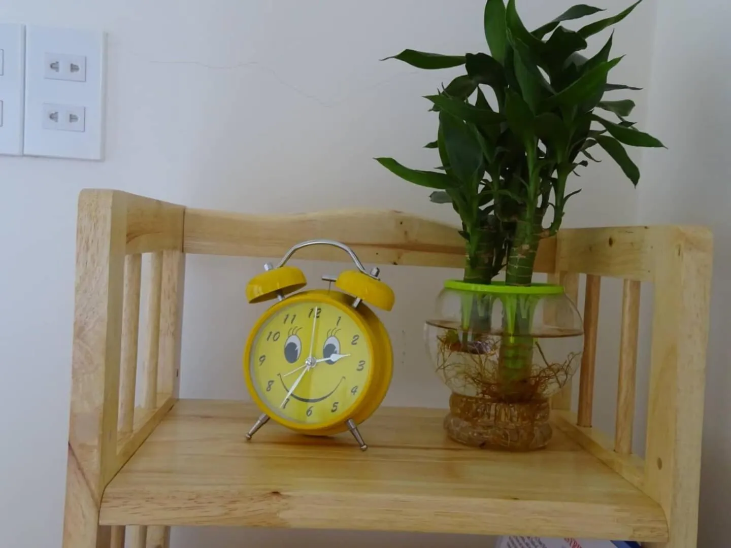 Other in Cam Ly Homestay