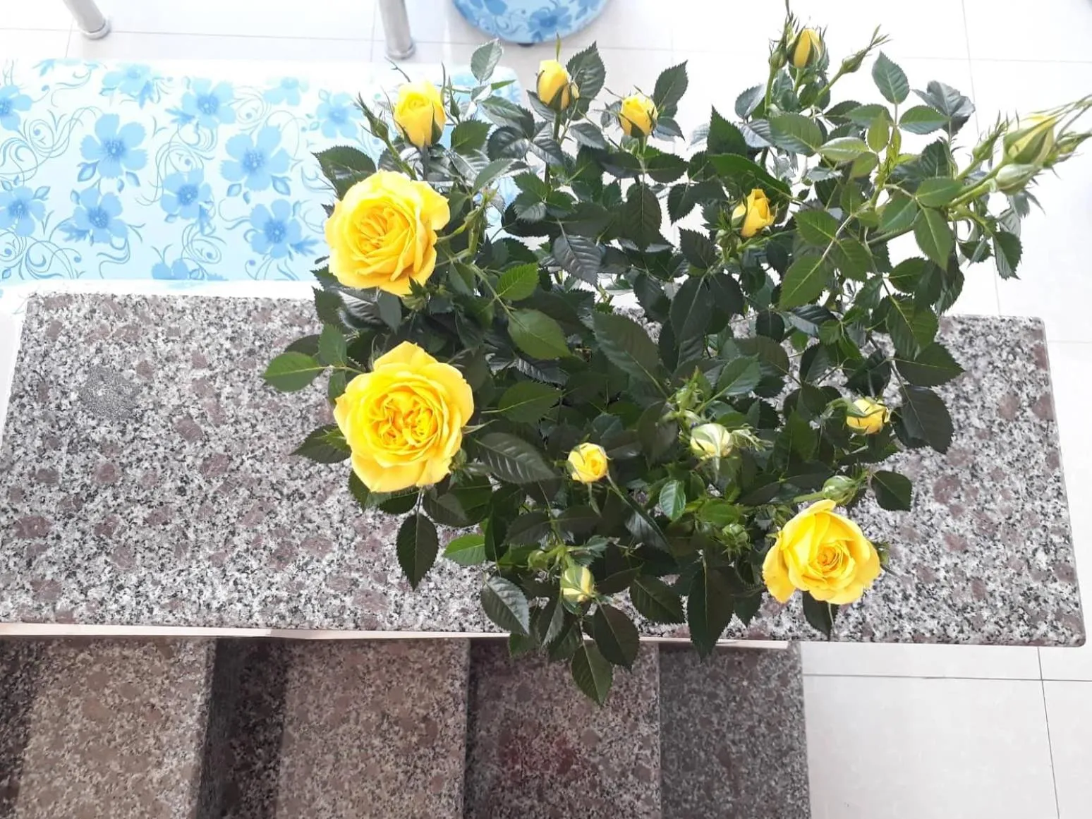 Property building in Cam Ly Homestay