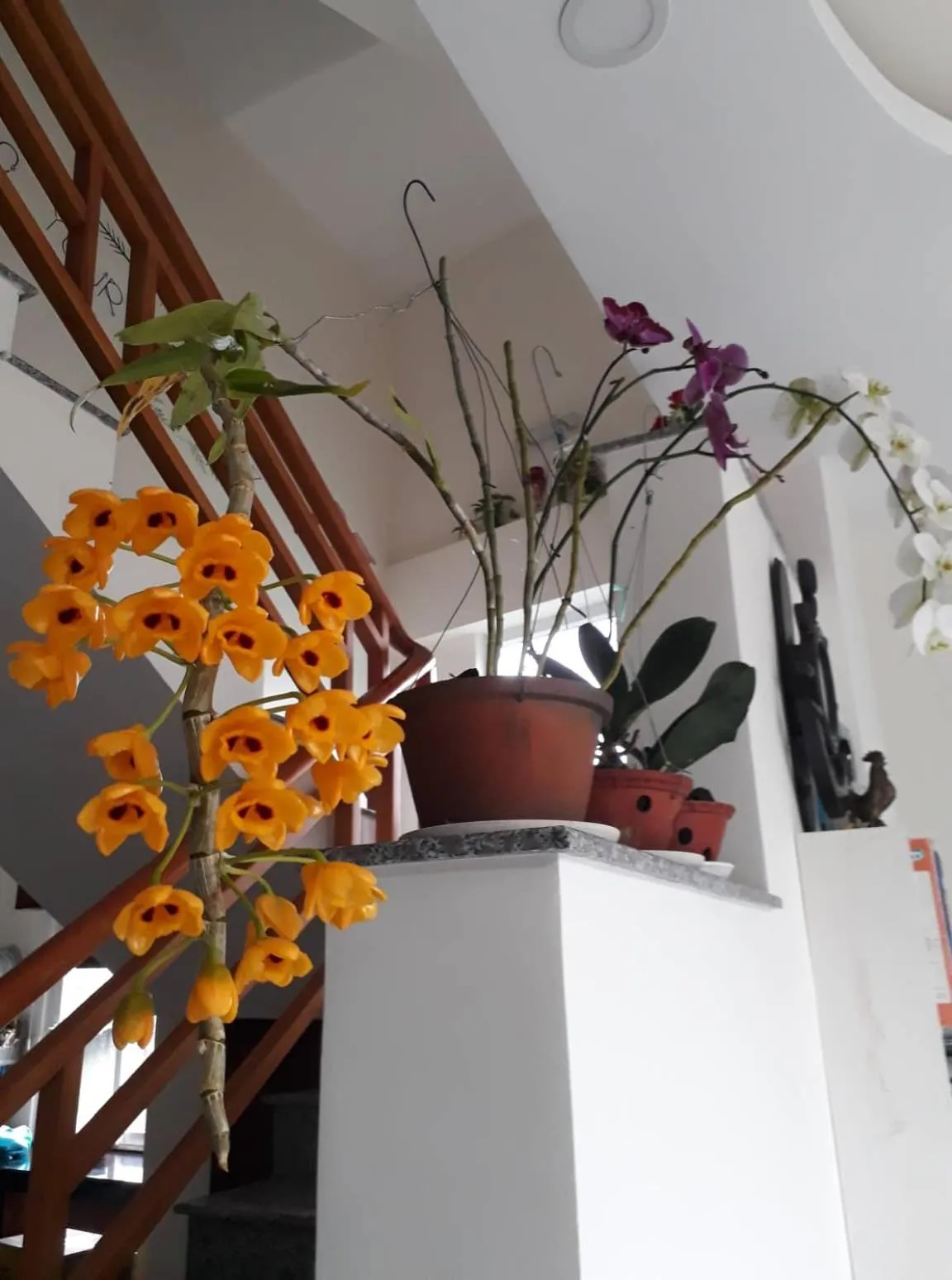 Lobby or reception in Cam Ly Homestay