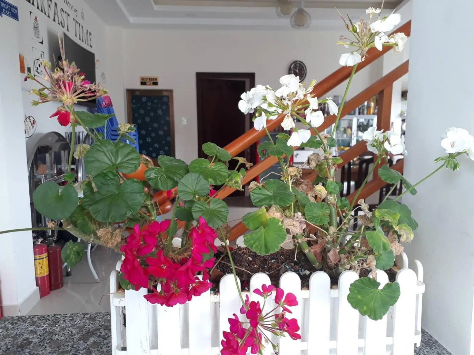 Patio in Cam Ly Homestay