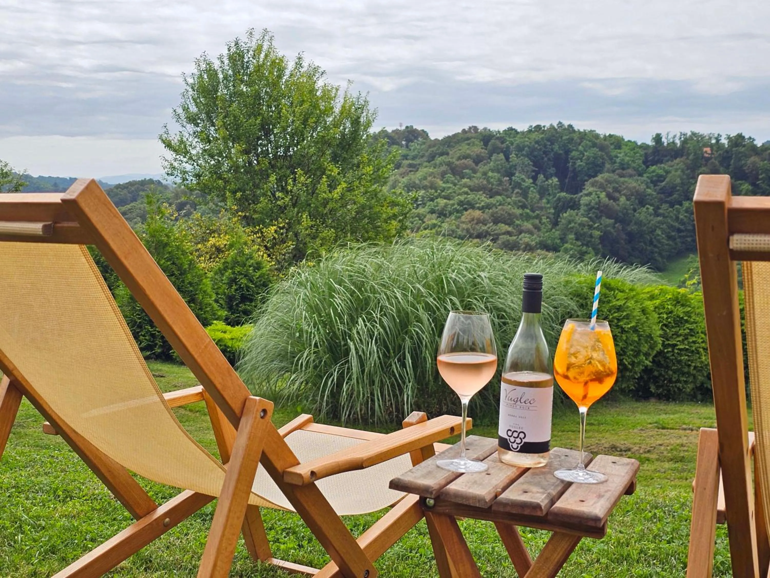 Seating area in Winery, Restaurant & Pension Vuglec Breg