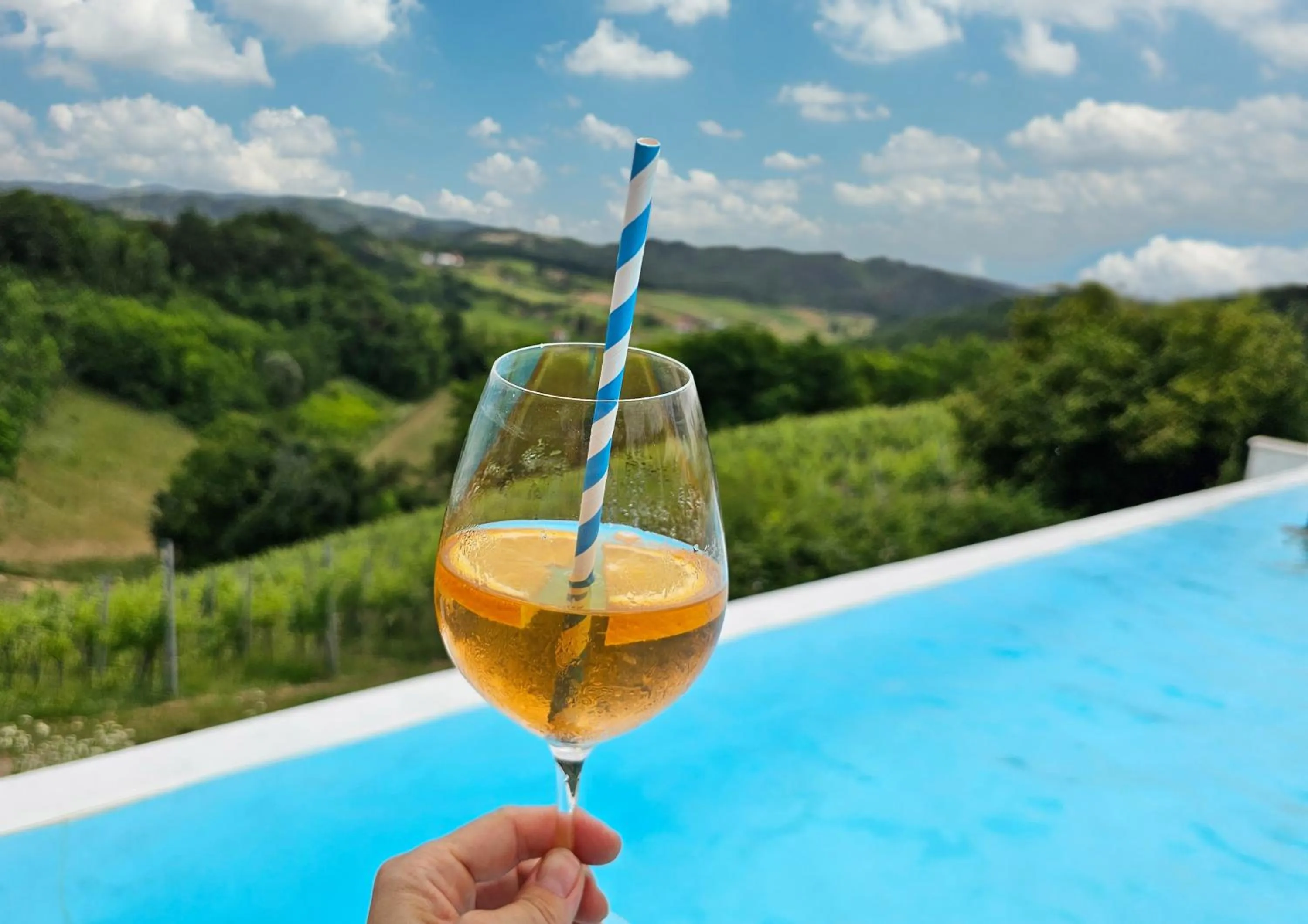 View (from property/room) in Winery, Restaurant & Pension Vuglec Breg