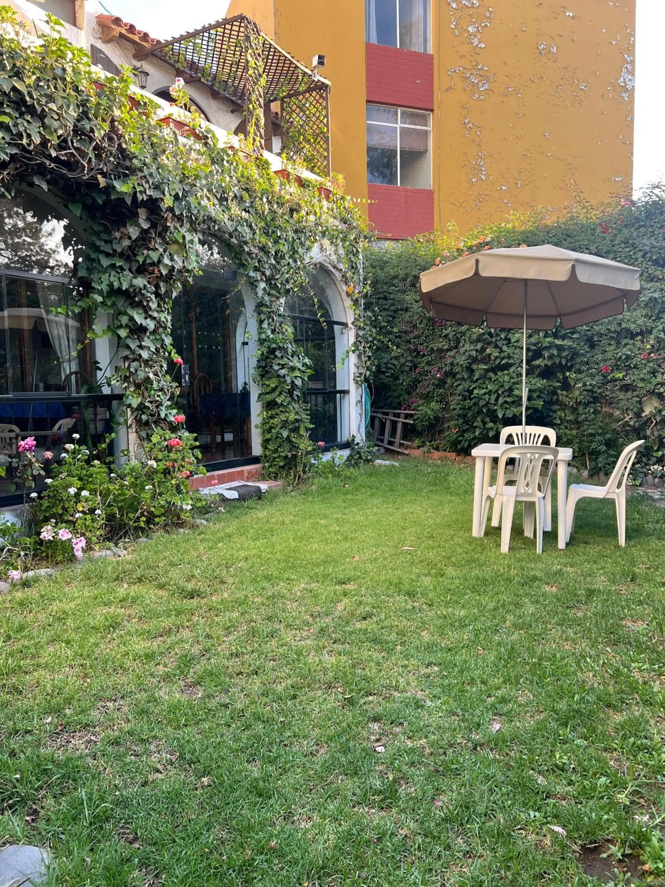 Garden in Hotel La Casa de Tin tin